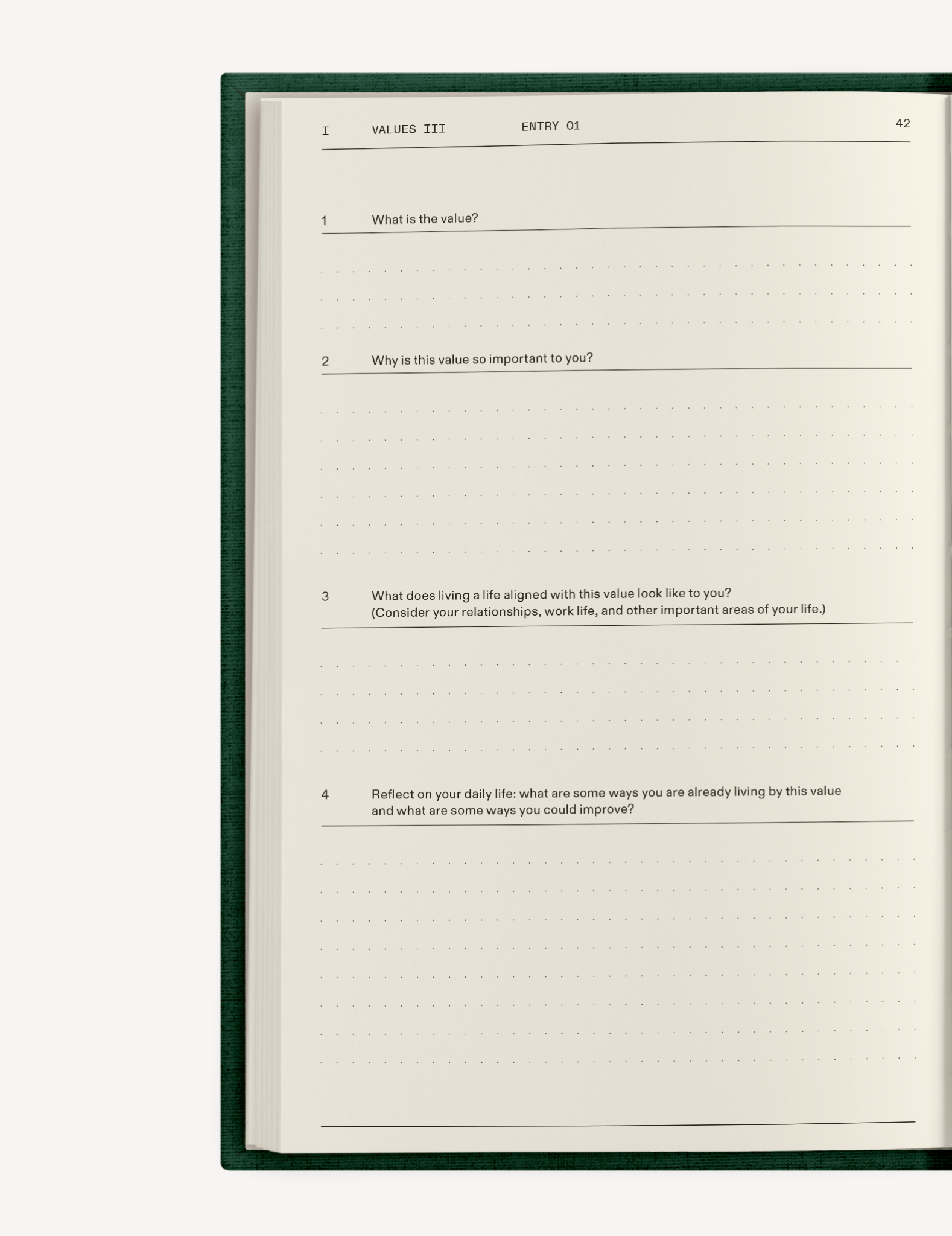 The Field Guide for Depression - Insight Family Market