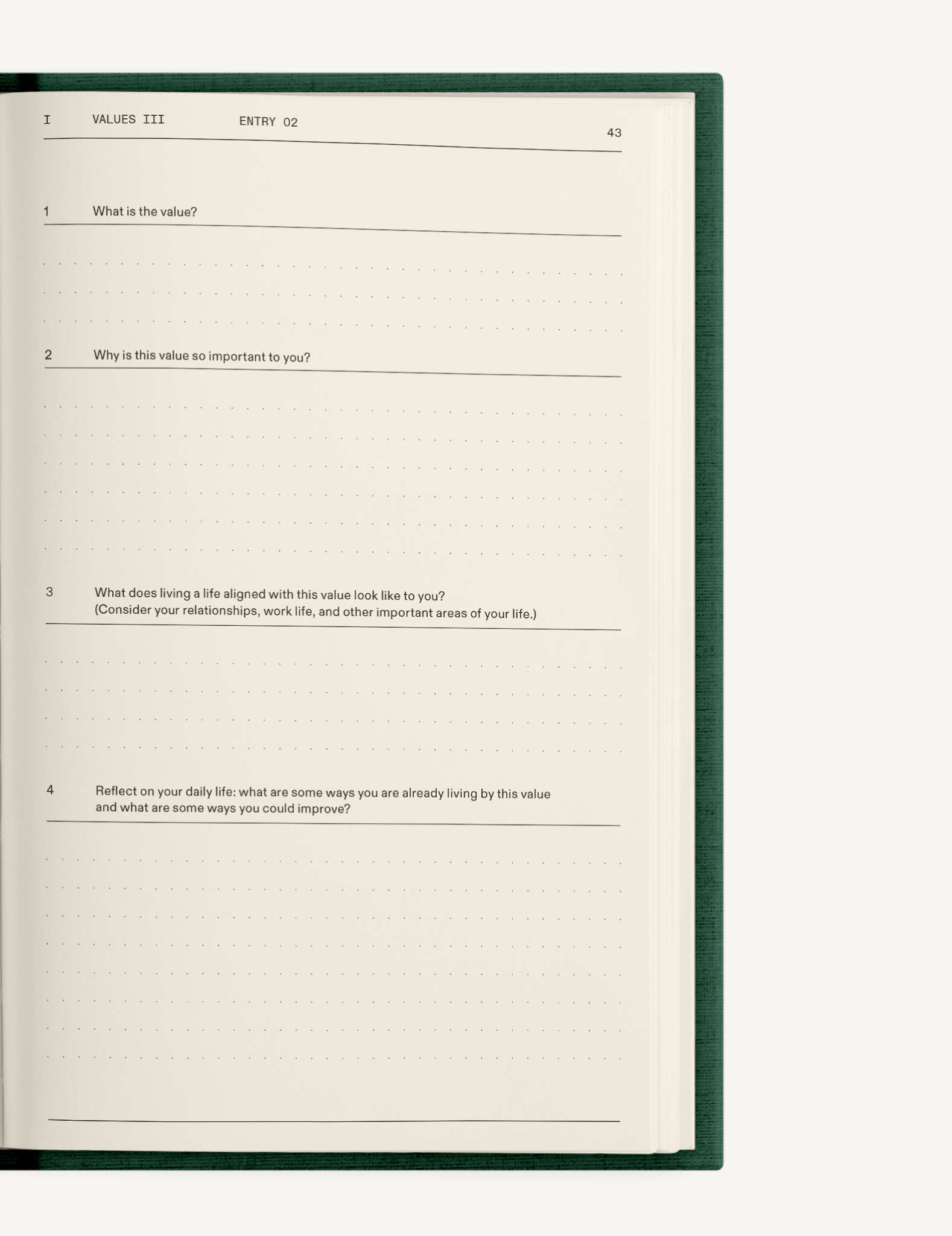 The Field Guide for Depression - Insight Family Market