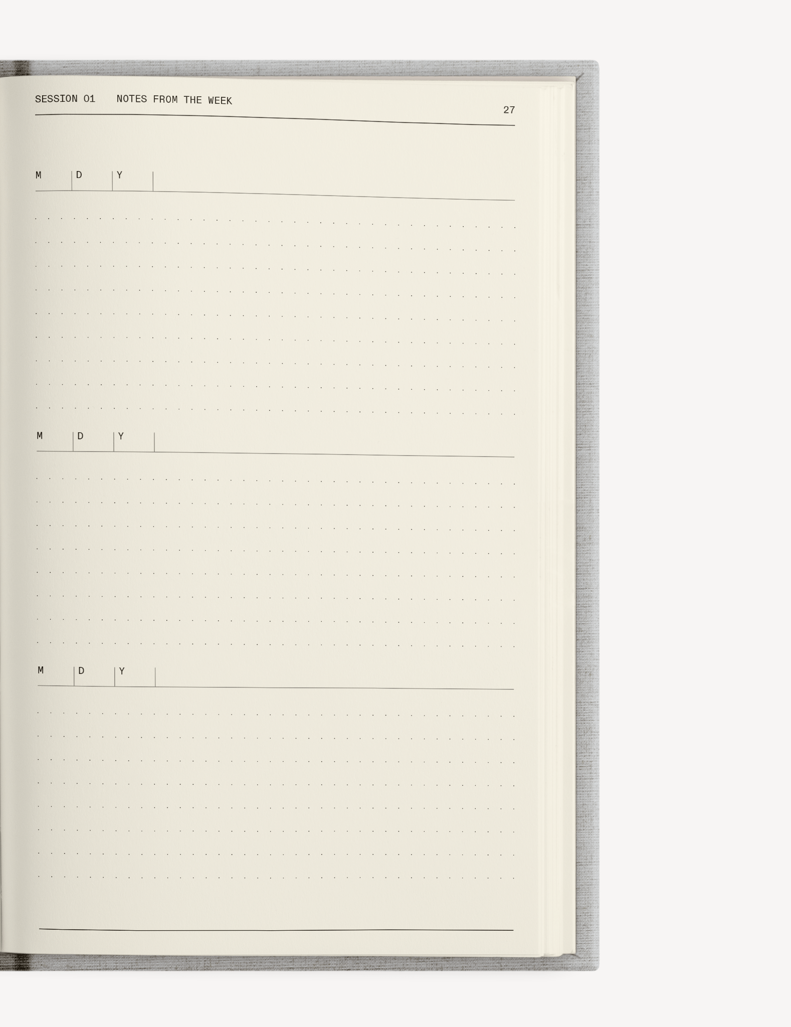 The Therapy Companion Set - Insight Family Market