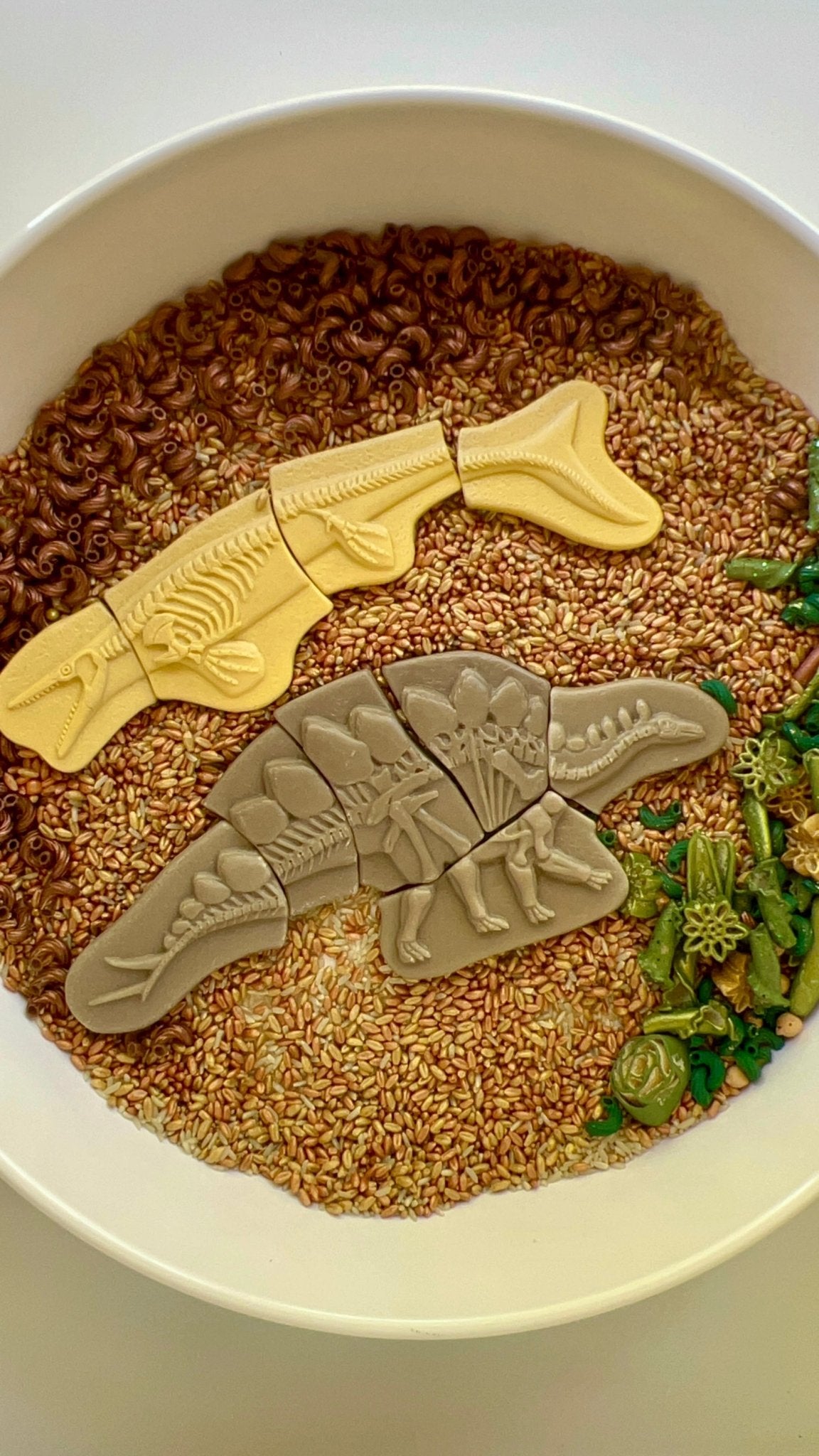 T - Rex Terrain Sensory Bin Filler - Insight Family Market