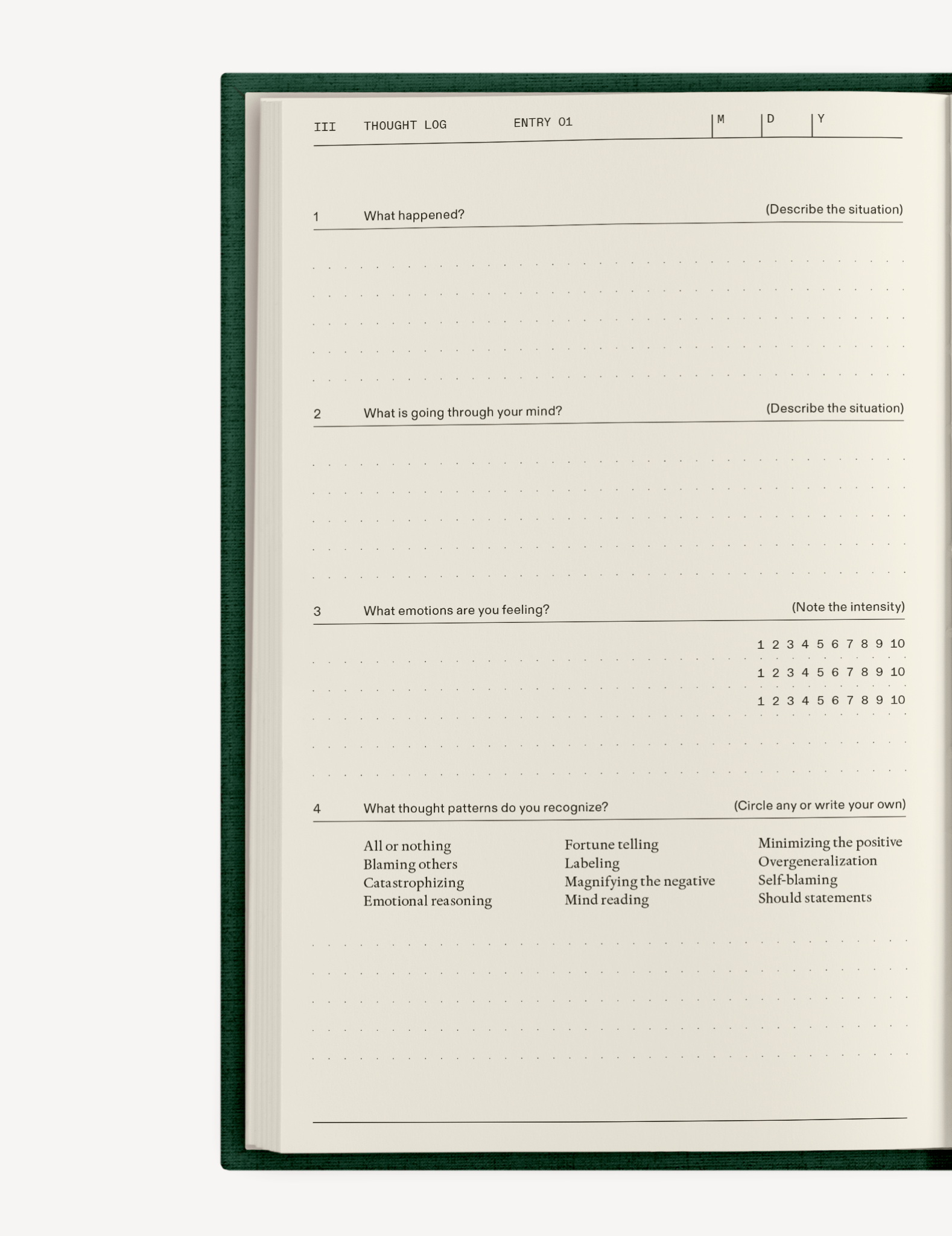 The Field Guide for Depression - Insight Family Market