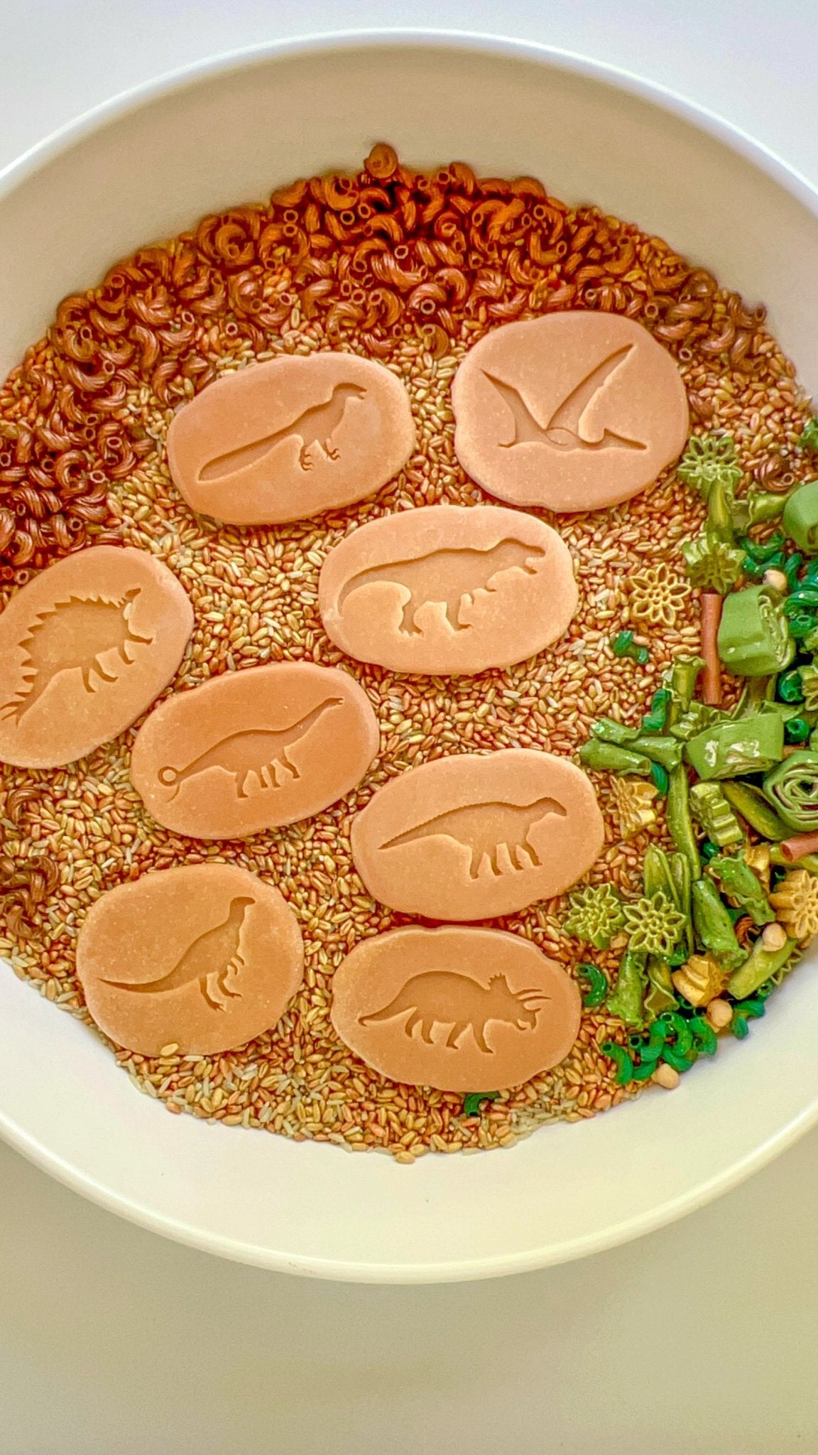 T - Rex Terrain Sensory Bin Filler - Insight Family Market