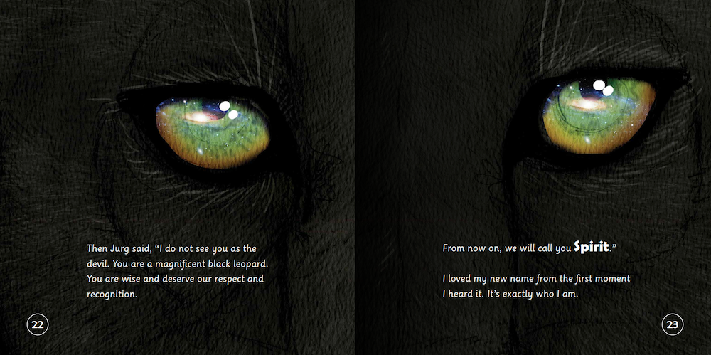 Close-up of a black leopard's eyes with text overlay on a dark background