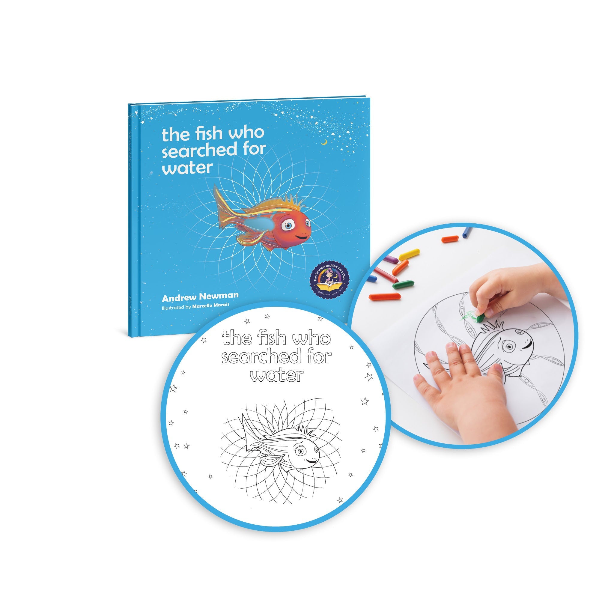 The Fish Who Searched for Water: Helping children find comfort in what they already have - Insight Family Market