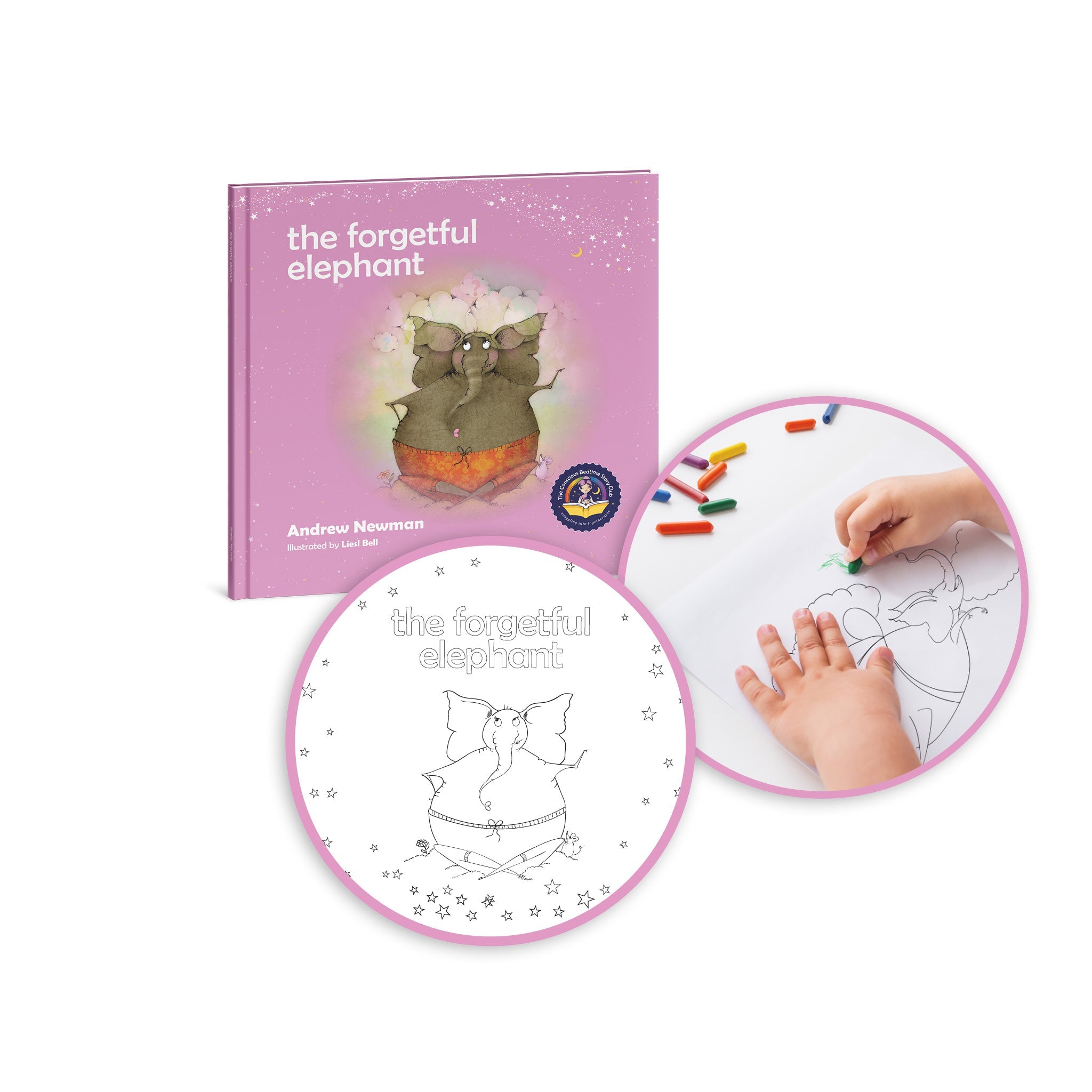 The Forgetful Elephant: Helping children return to their true selves when they forget who they are - Insight Family Market