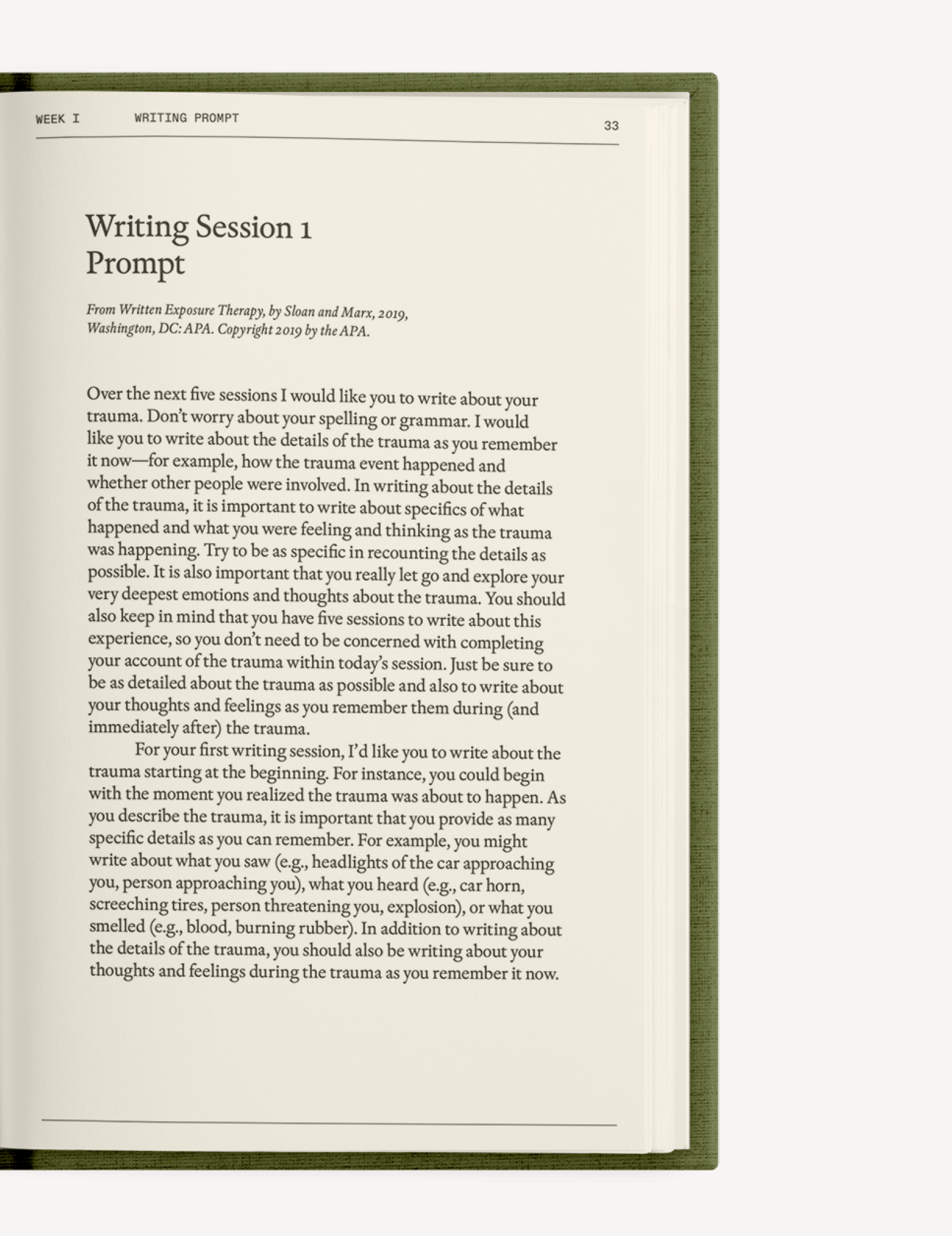 The After - Trauma Notebook - Insight Family Market