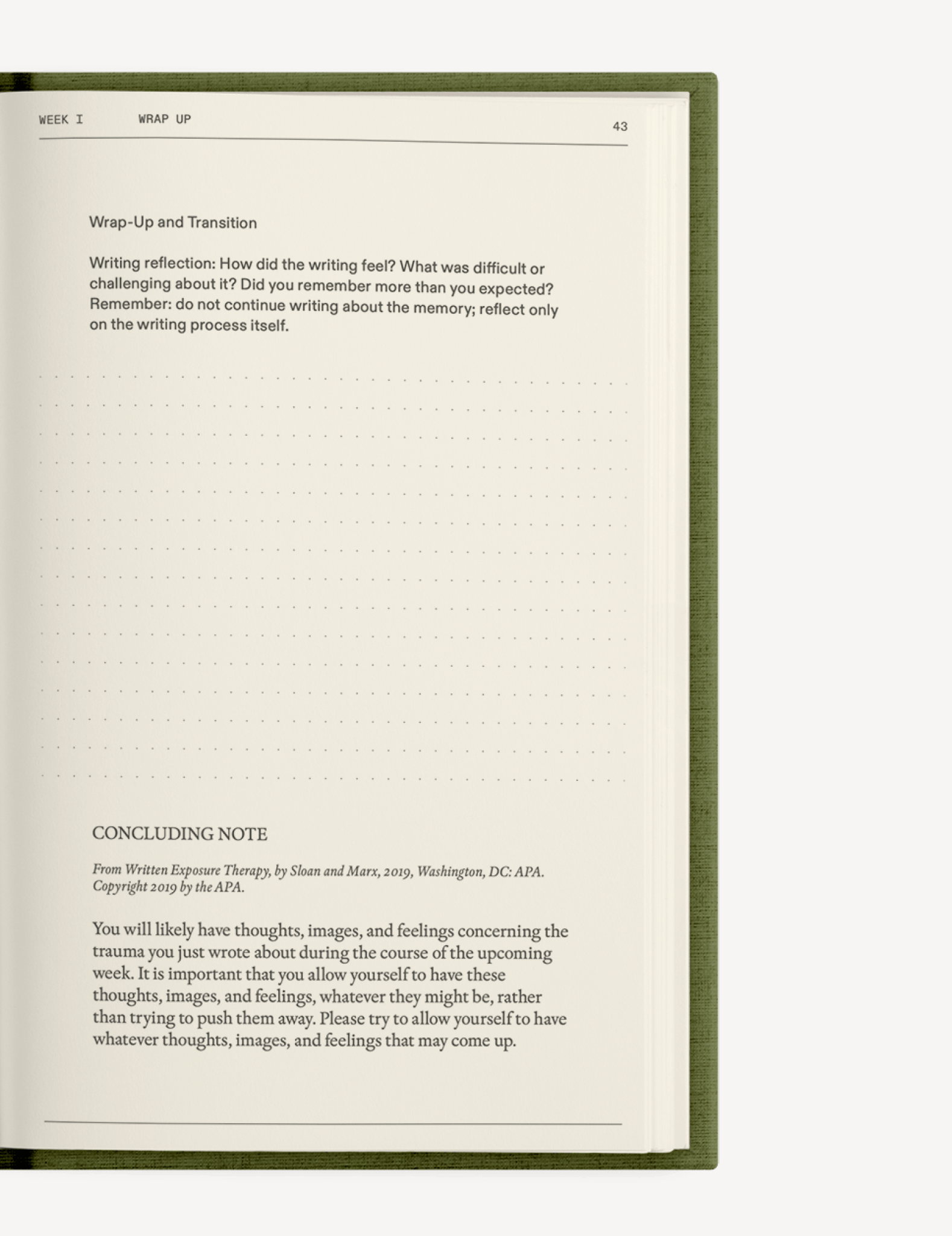 The After - Trauma Notebook - Insight Family Market