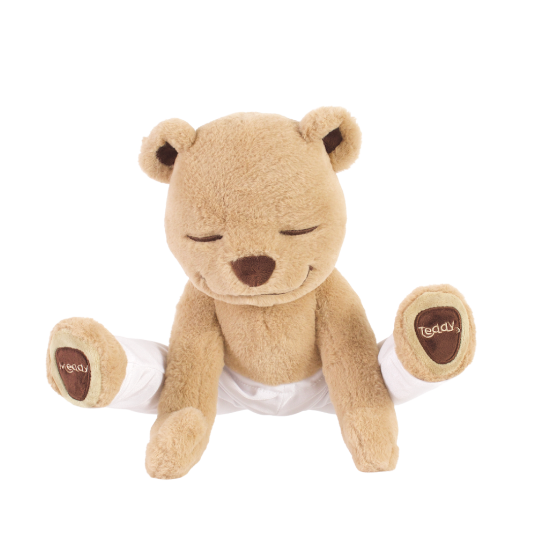 Meddy Teddy