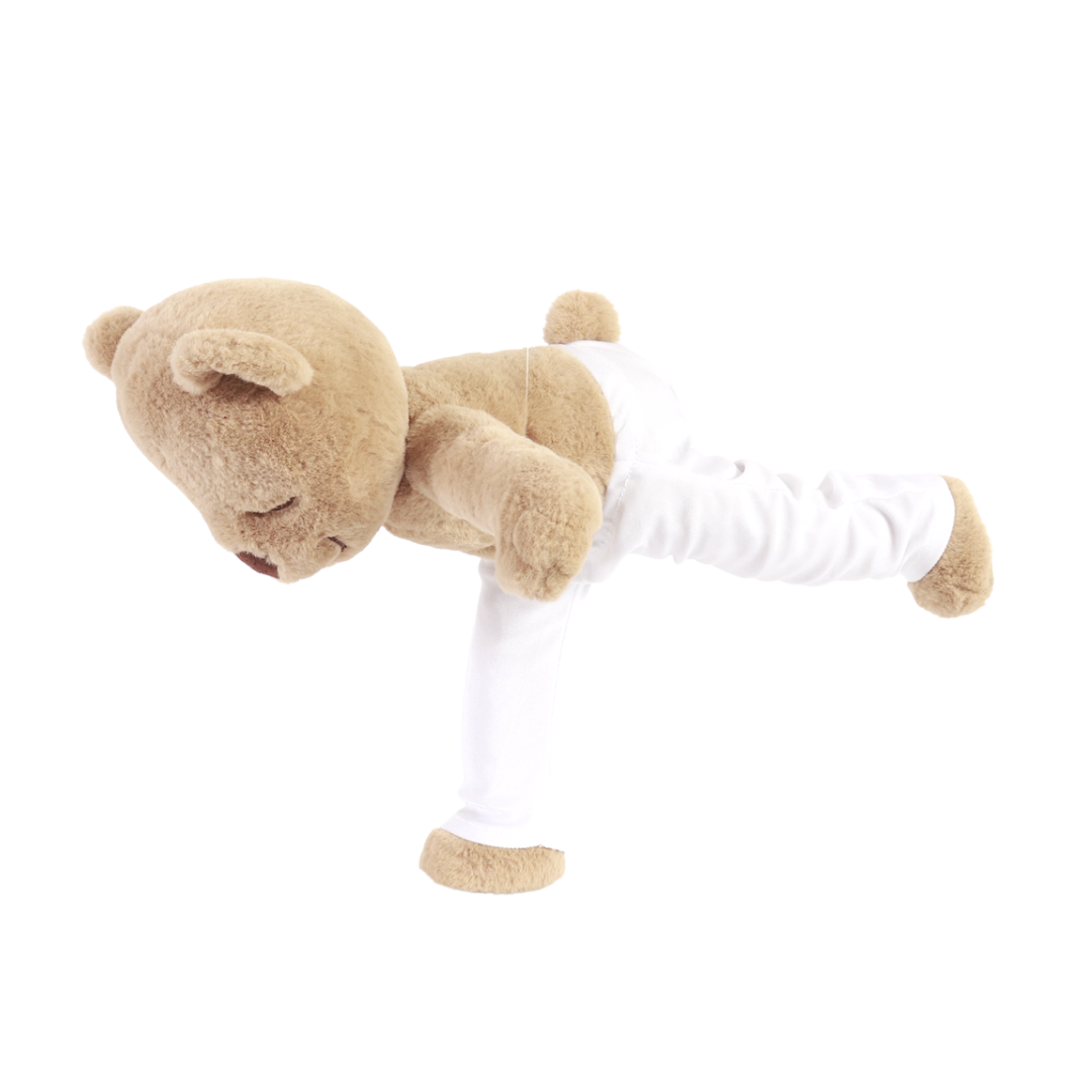 Meddy Teddy