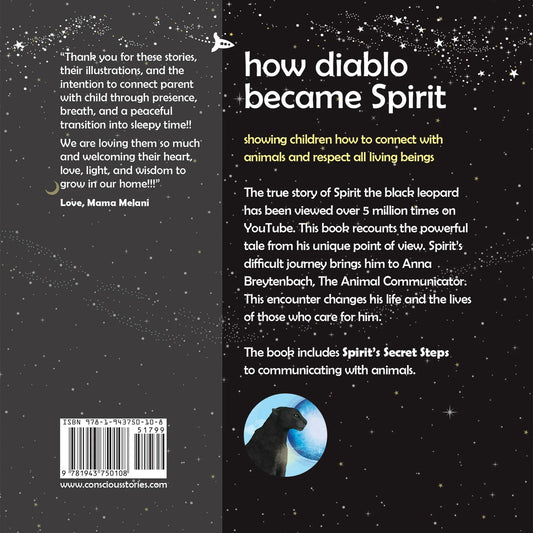 Back cover of 'How Diablo Became Spirit' children's book, with starry background and black leopard illustration.