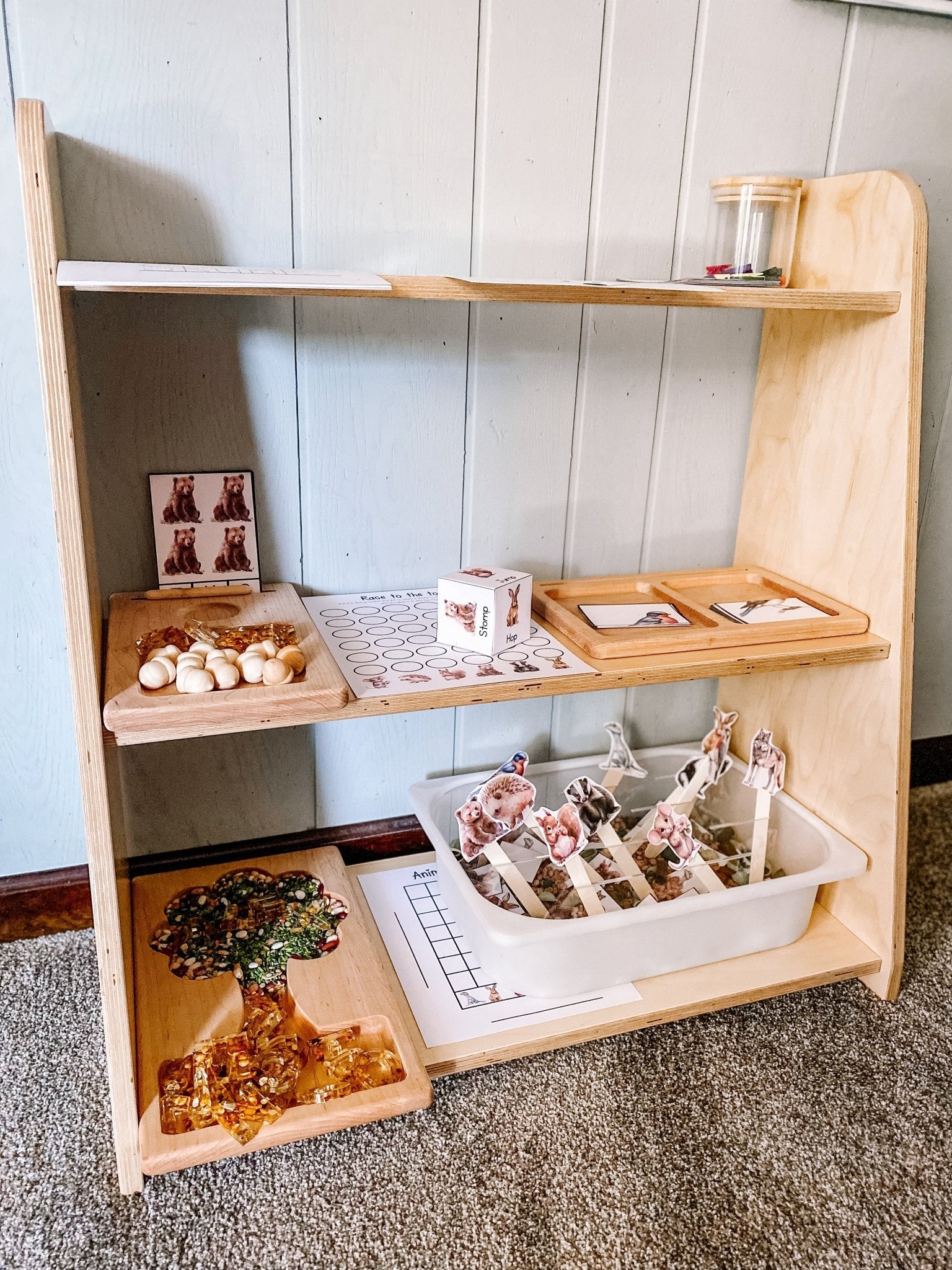 Tiered Toy Toddler Shelf - Insight Family Market