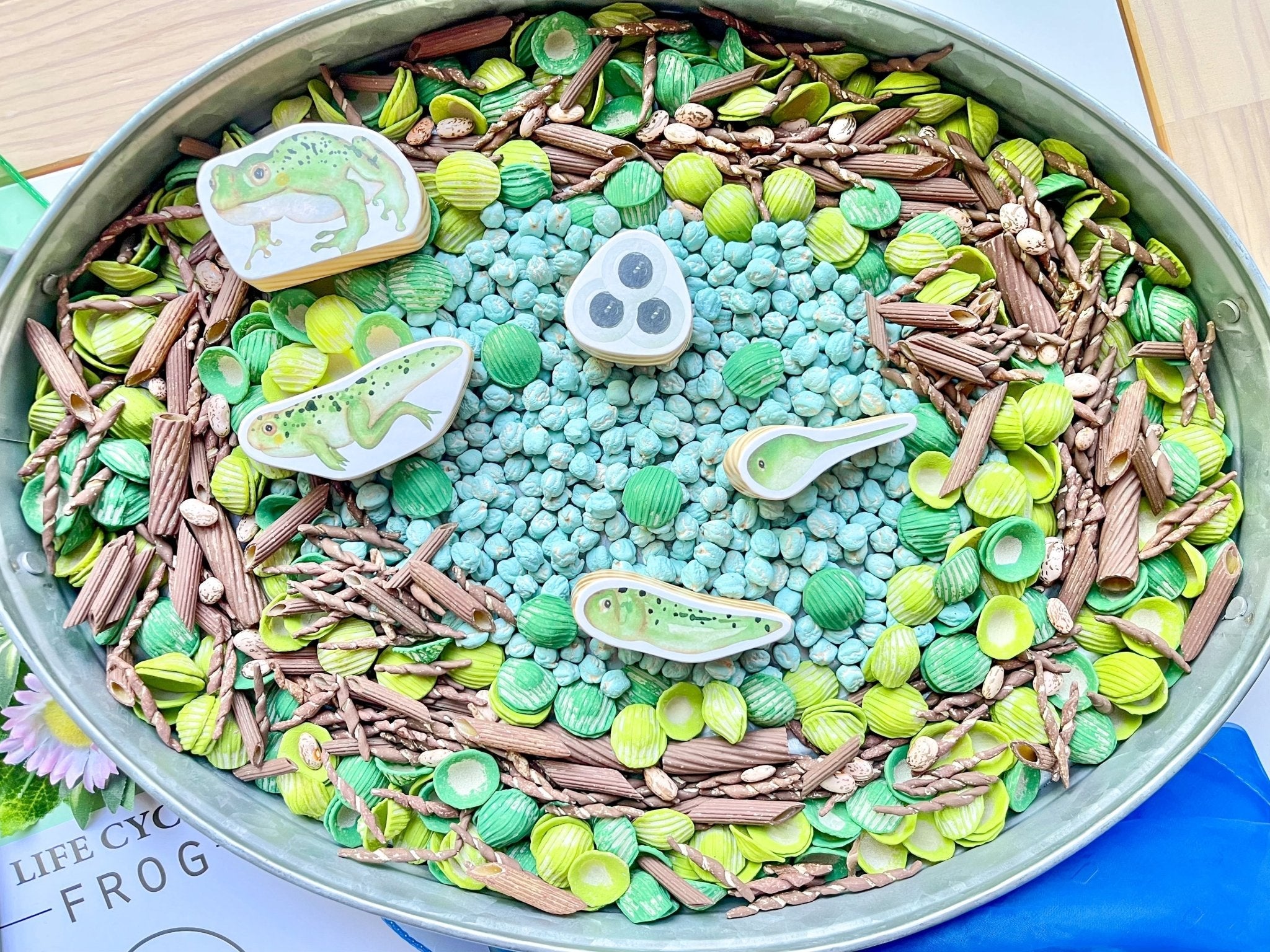 Build a Nest Sensory Bin Filler