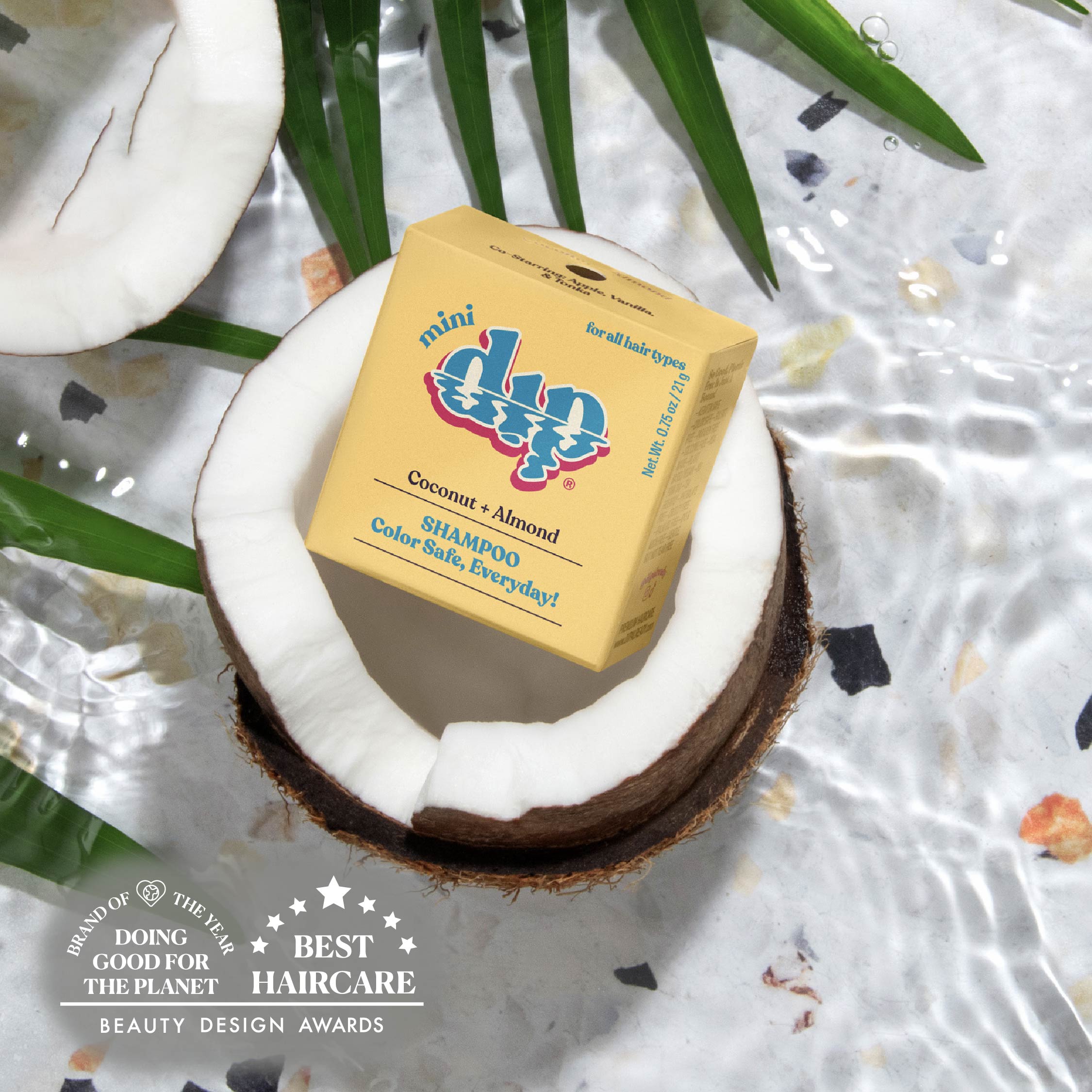 Box of shampoo inside a coconut with green leaves on a textured surface