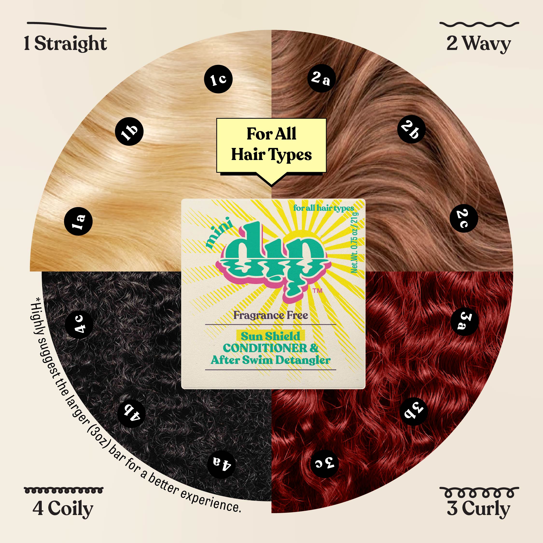 Hair type chart with different hair textures and a Mini Dip product in the center.