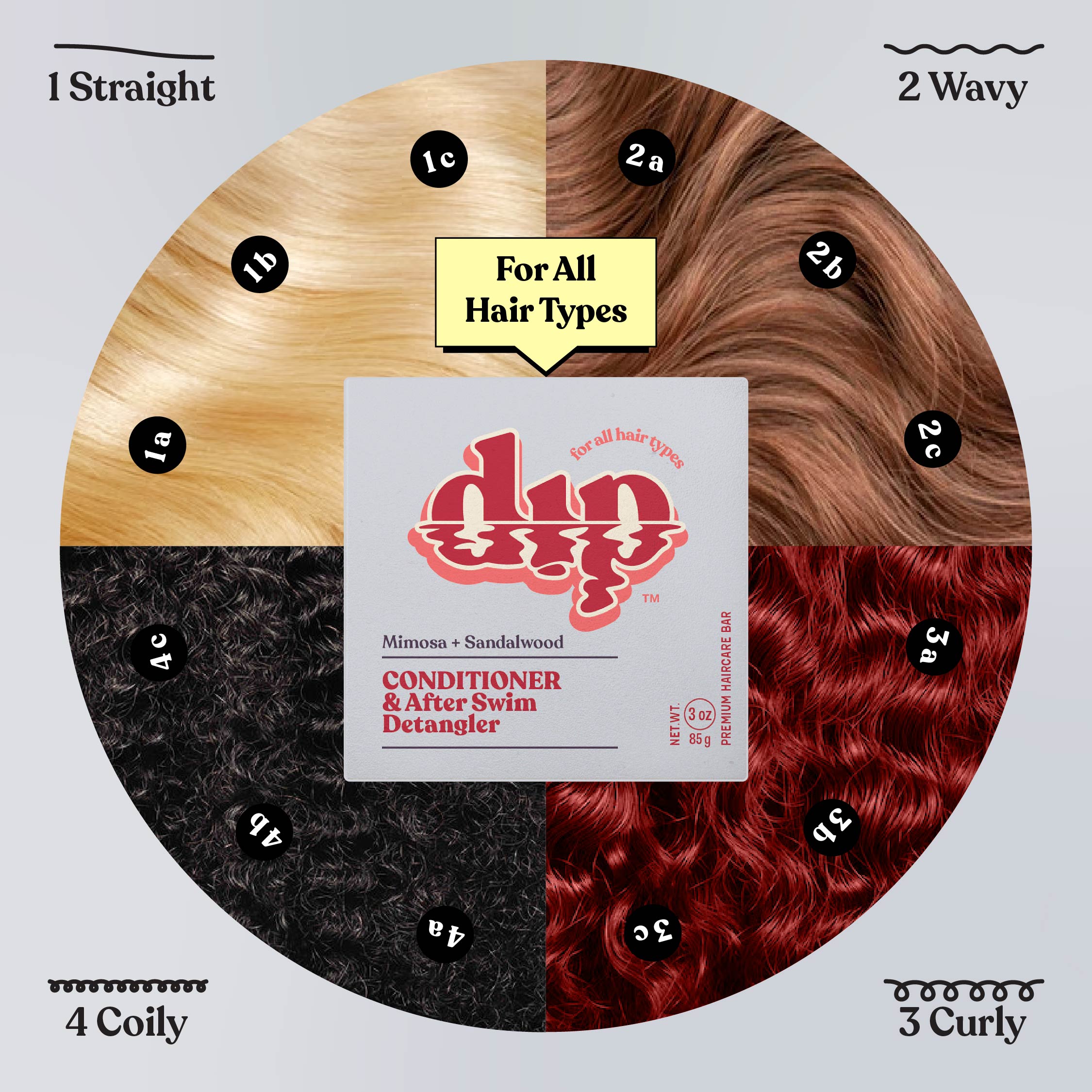 Hair type chart with different hair textures and a DIP product label in the center.