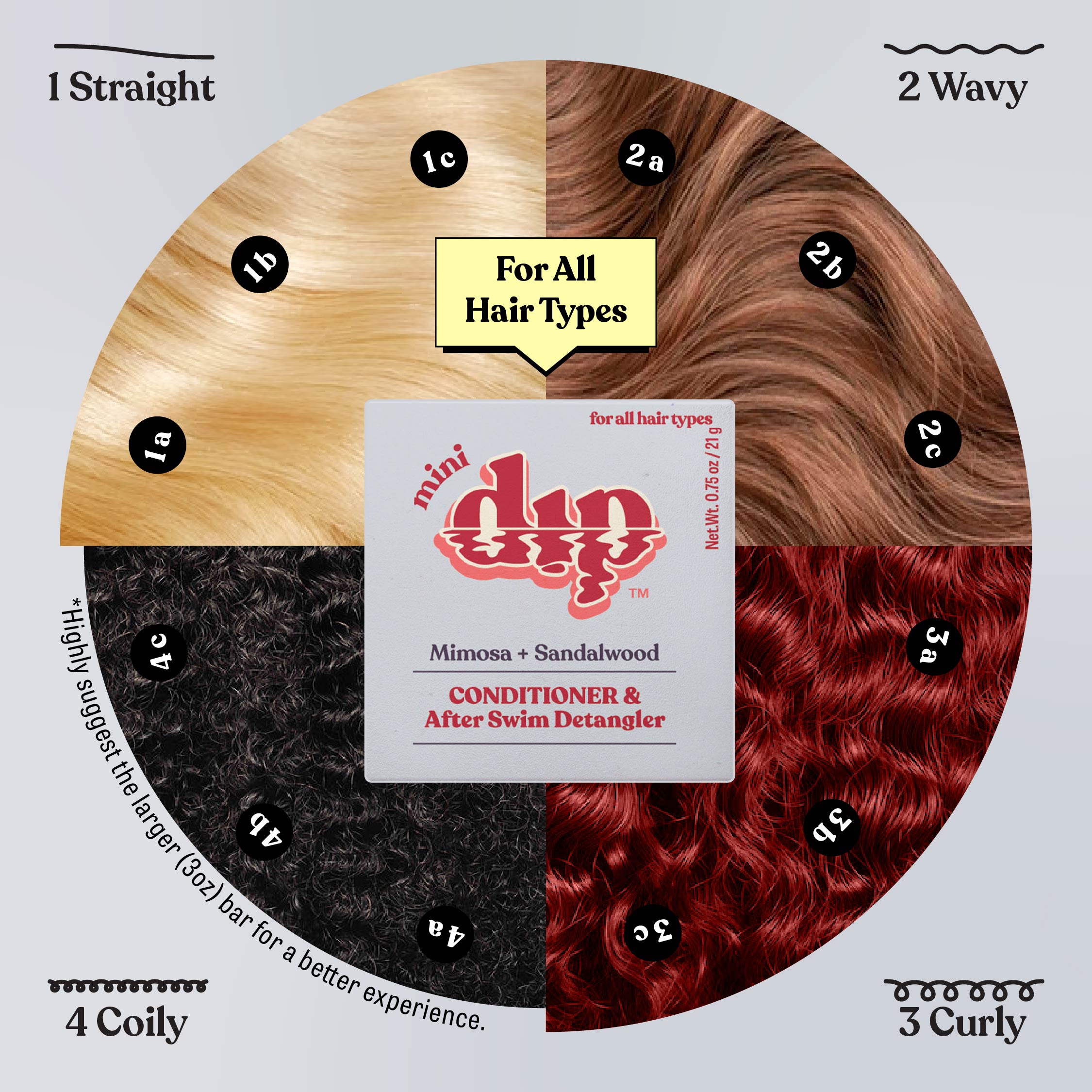 Hair type chart with different hair textures and a mini dip product in the center.