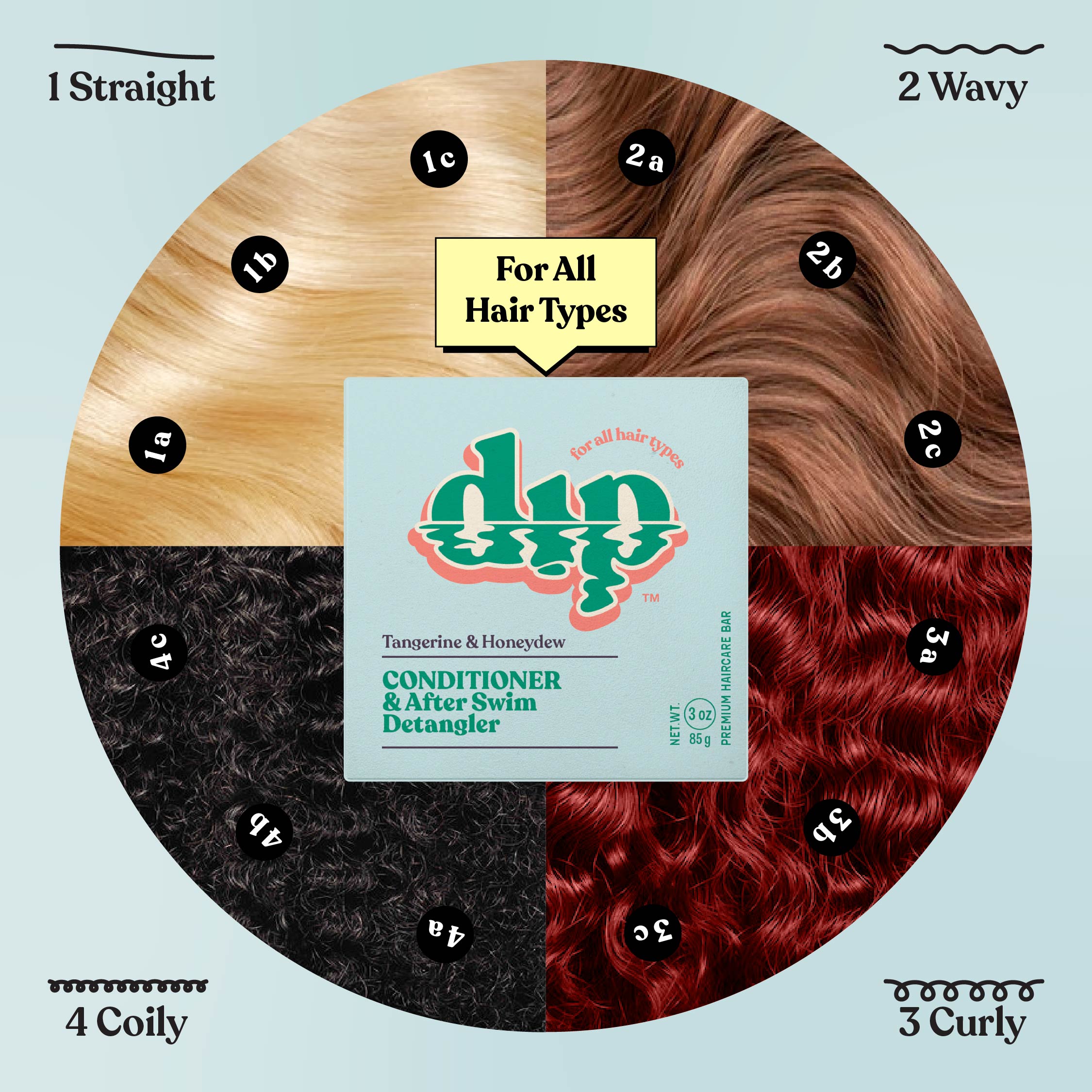 Dip hair care product packaging with hair type chart on a light blue background