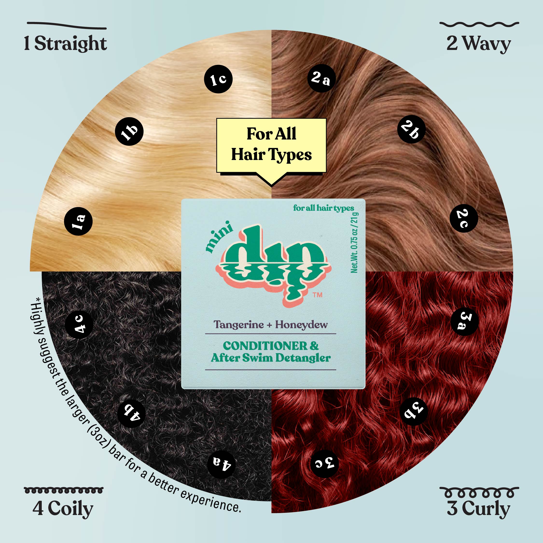 Hair type chart with different hair textures and a Mini Dip product label.