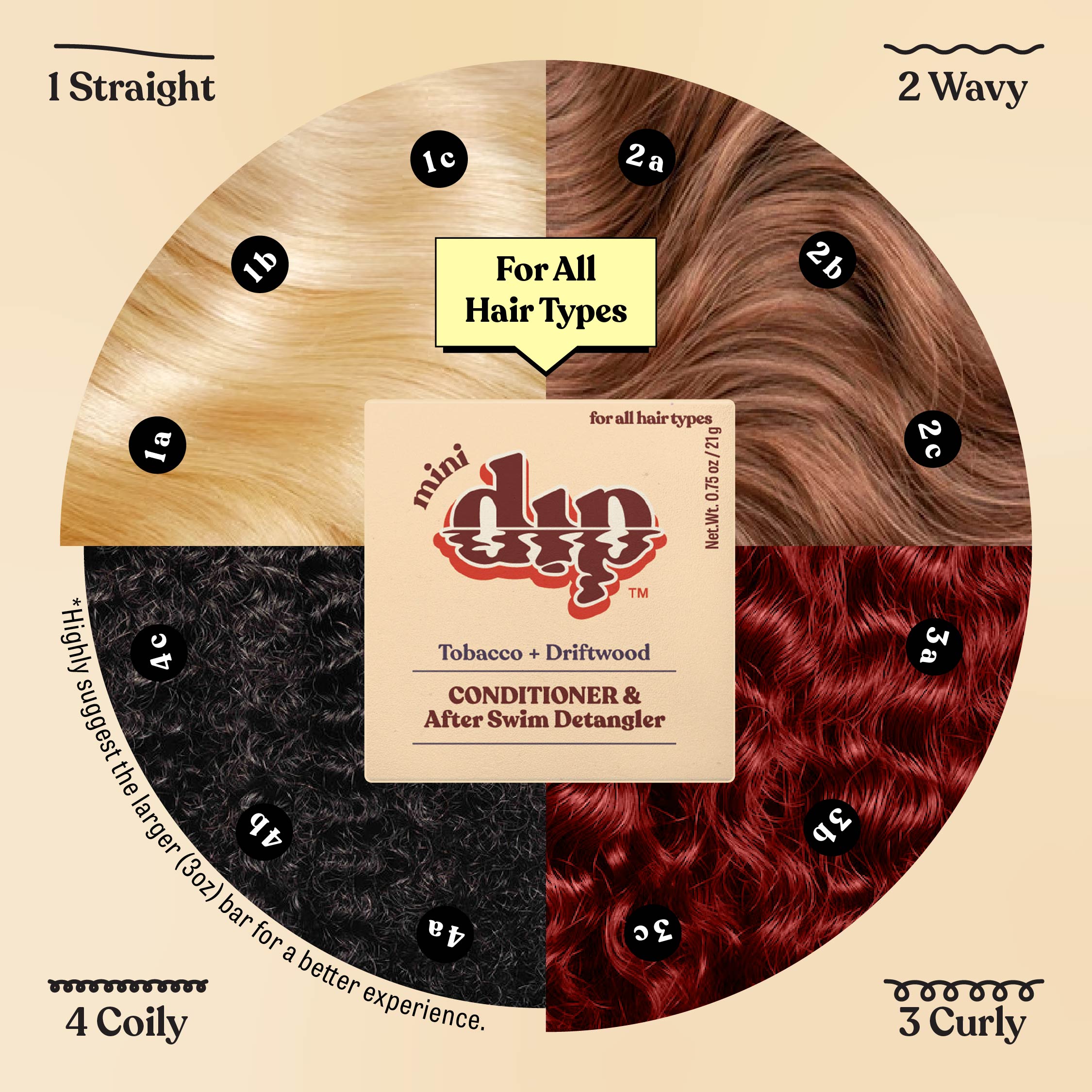 Hair type chart with different hair textures and a mini dip product in the center.
