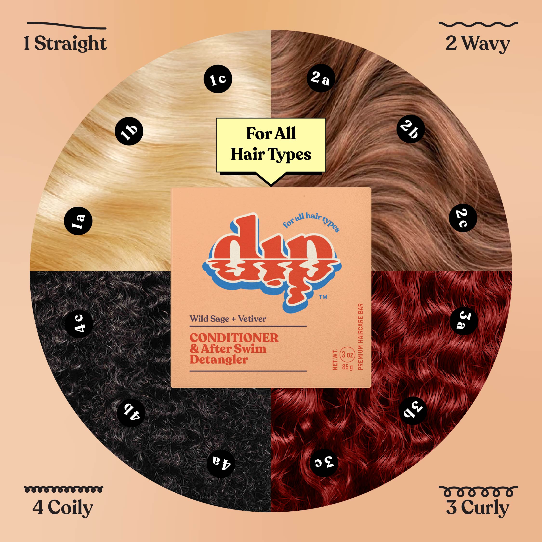 Hair type chart with DIP conditioner packaging in the center on a beige background