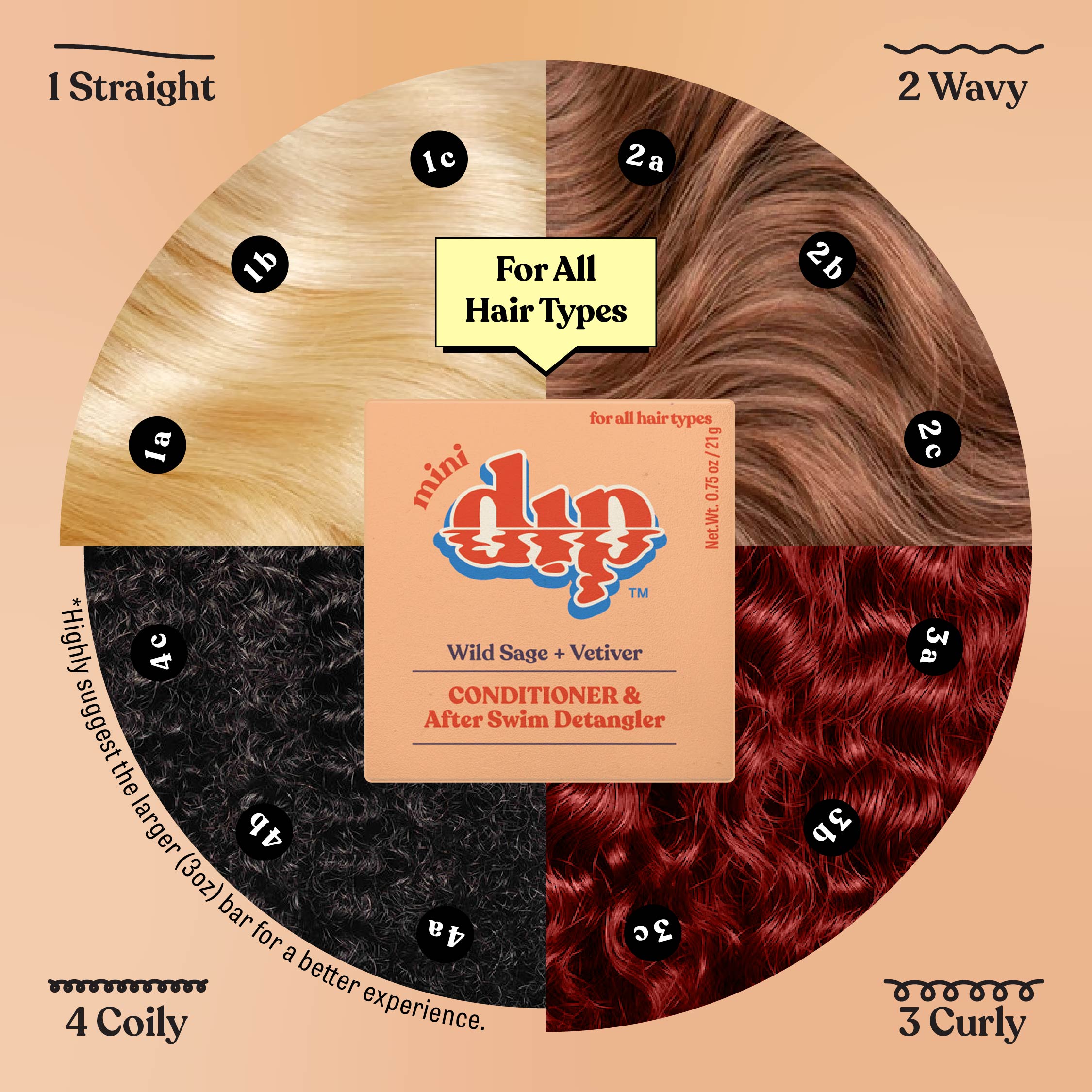 Hair type chart with different hair textures and a DIP product in the center.