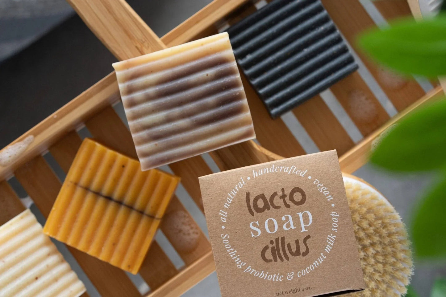 Handcrafted probiotic bar soaps in natural colors on a wooden bath tray, eco-friendly packaging
