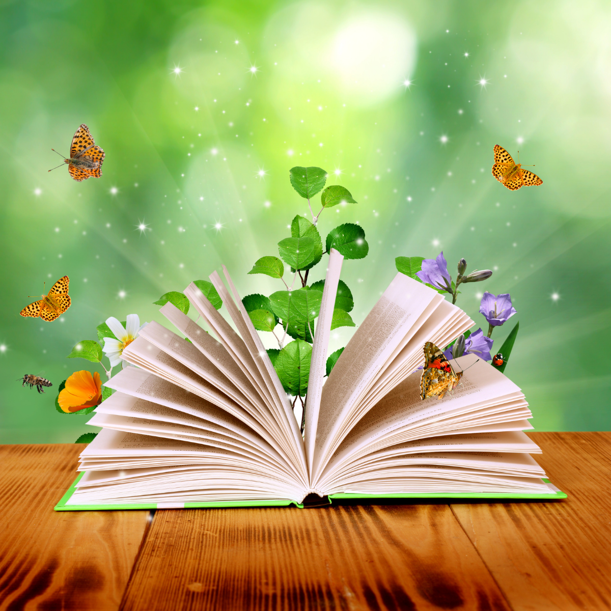 Books