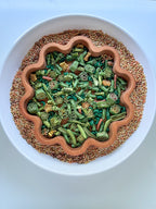 Prehistoric Plants Sensory Bin Filler - Insight Family Market