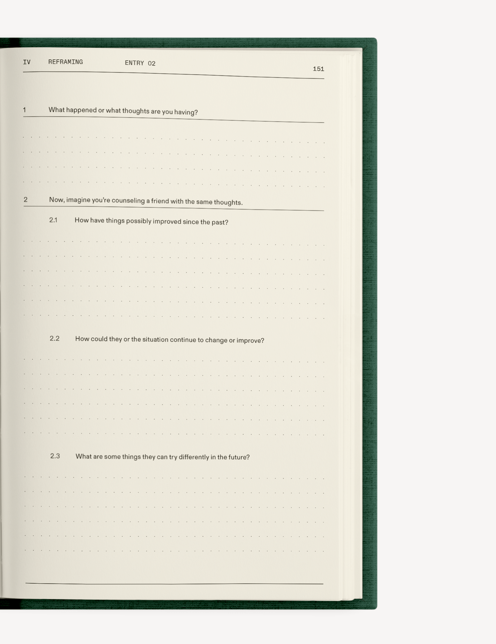 The Field Guide for Depression - Insight Family Market