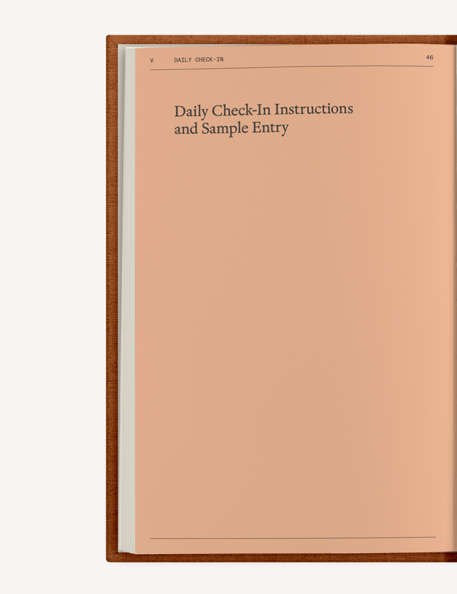 The Catalyst for Change Set - Insight Family Market