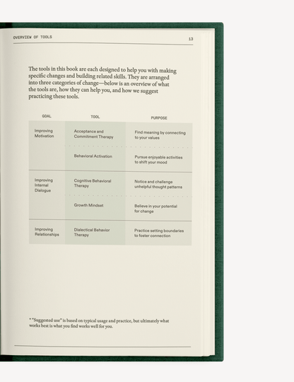 The Field Guide for Depression - Insight Family Market