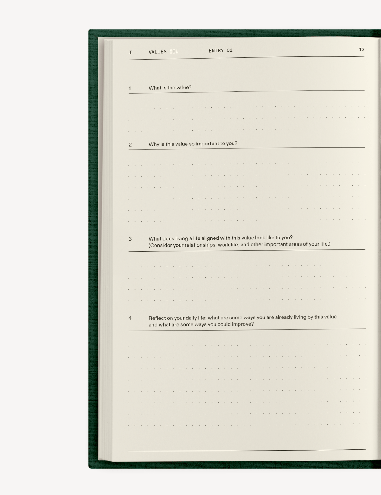 The Field Guide for Depression - Insight Family Market