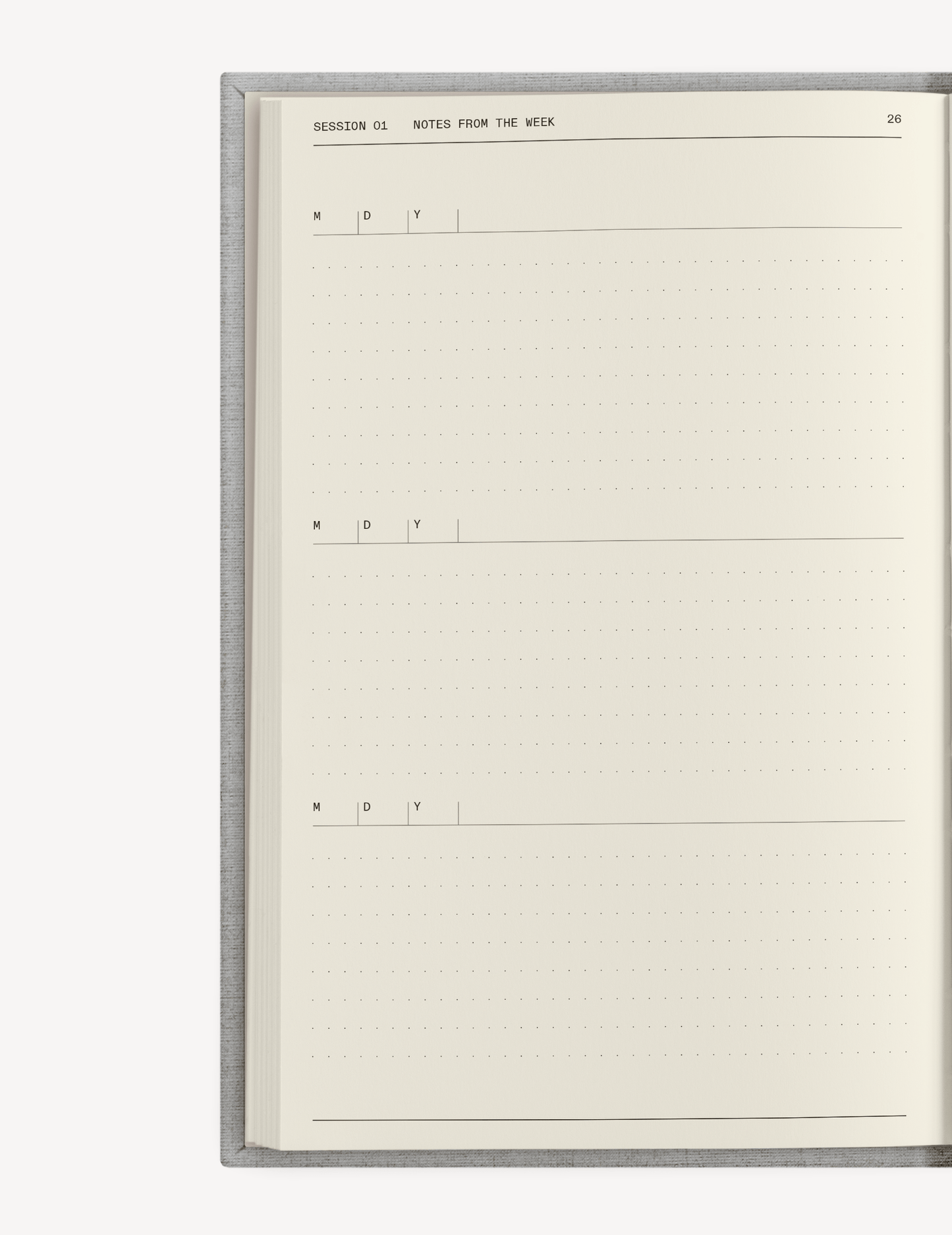 The Catalyst for Change Set - Insight Family Market