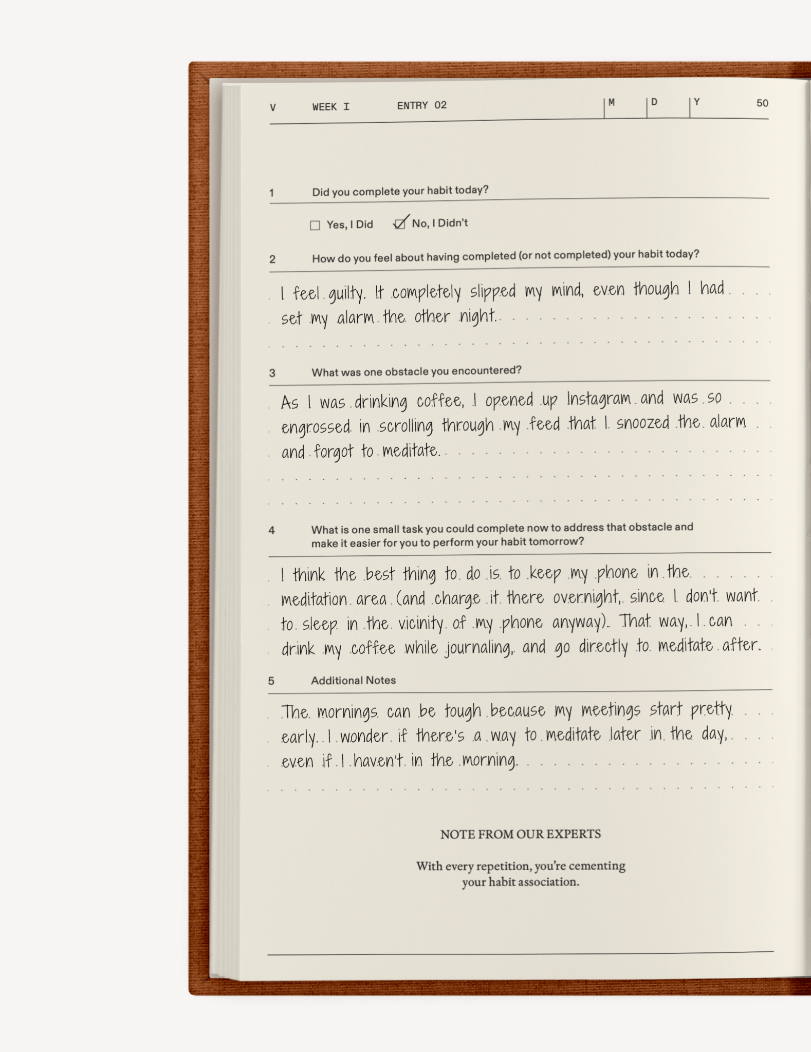 The Catalyst for Change Set - Insight Family Market