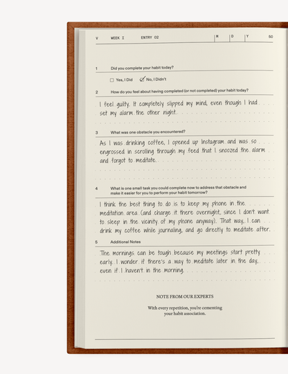 The Catalyst for Change Set - Insight Family Market