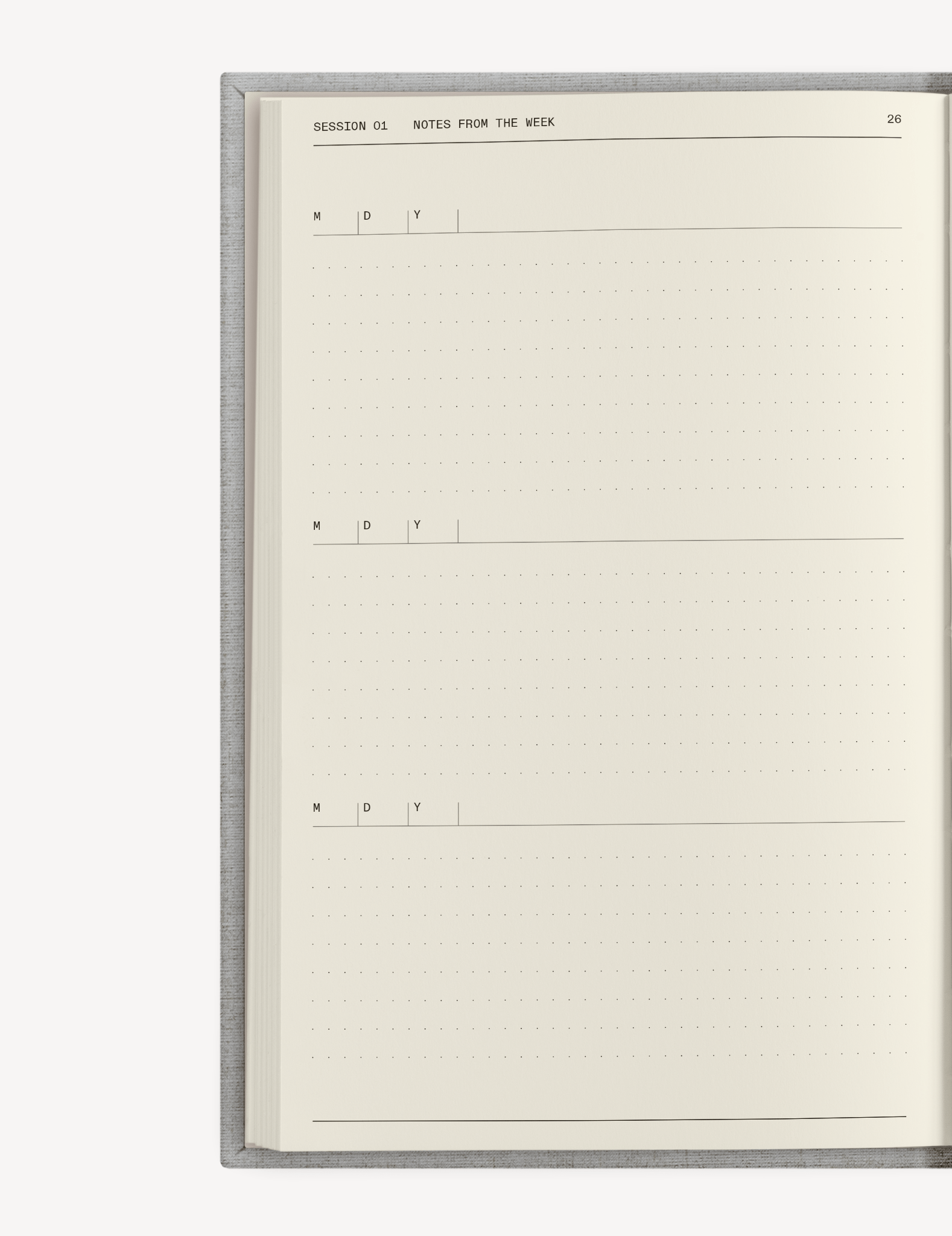 The Therapy Companion Set - Insight Family Market