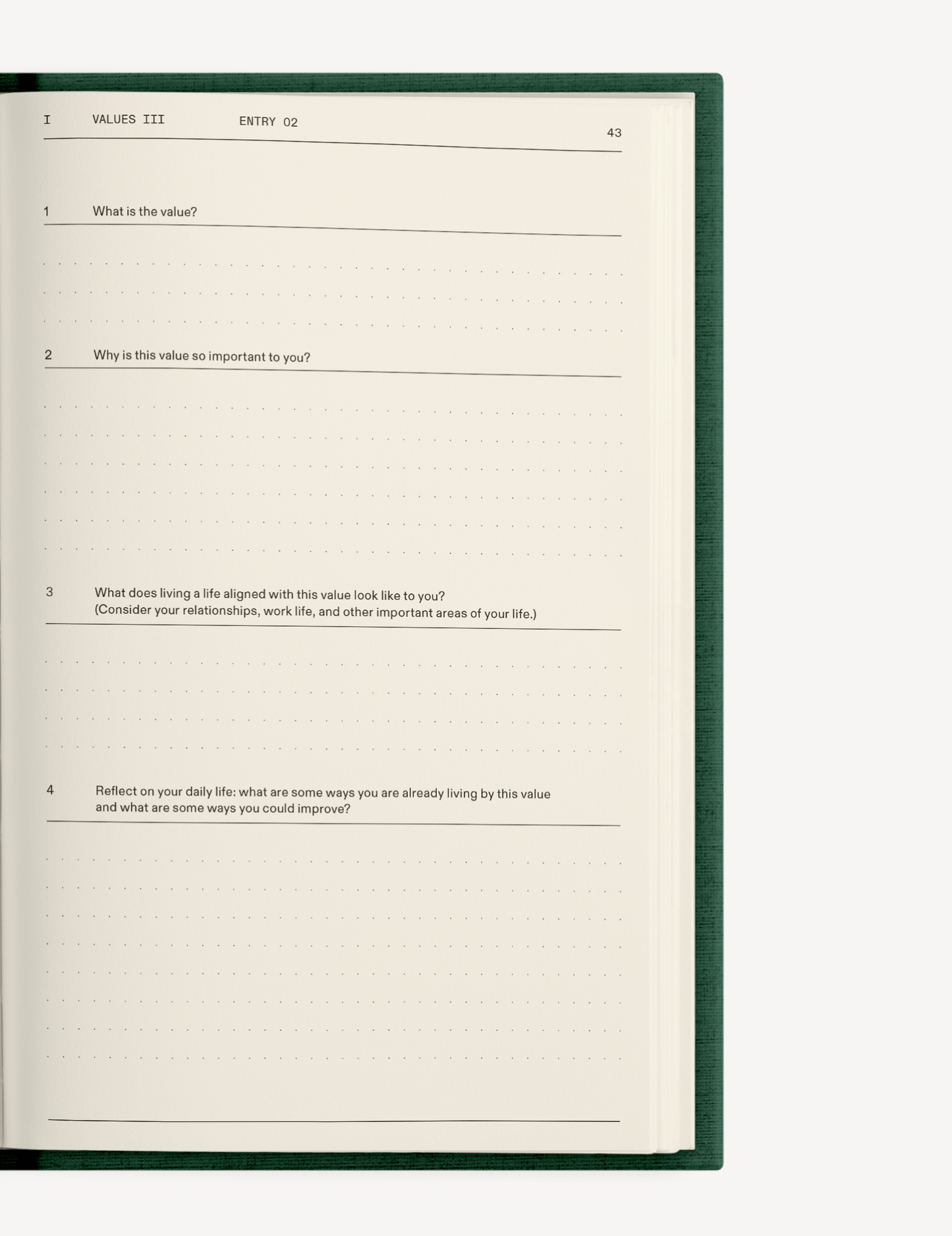 The Field Guide for Depression - Insight Family Market