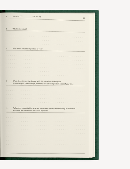 The Field Guide for Depression - Insight Family Market