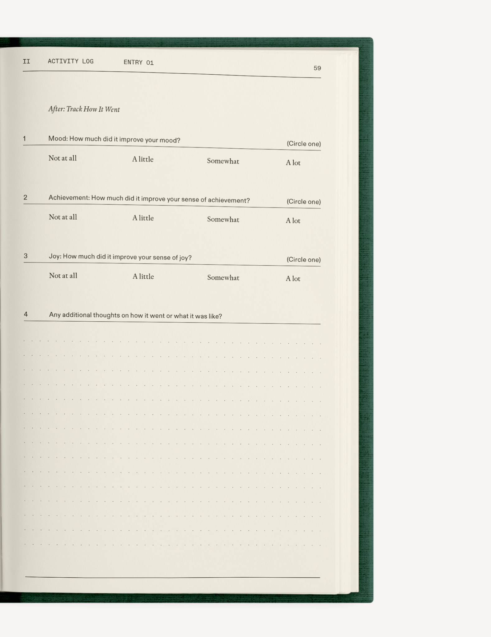 The Field Guide for Depression - Insight Family Market