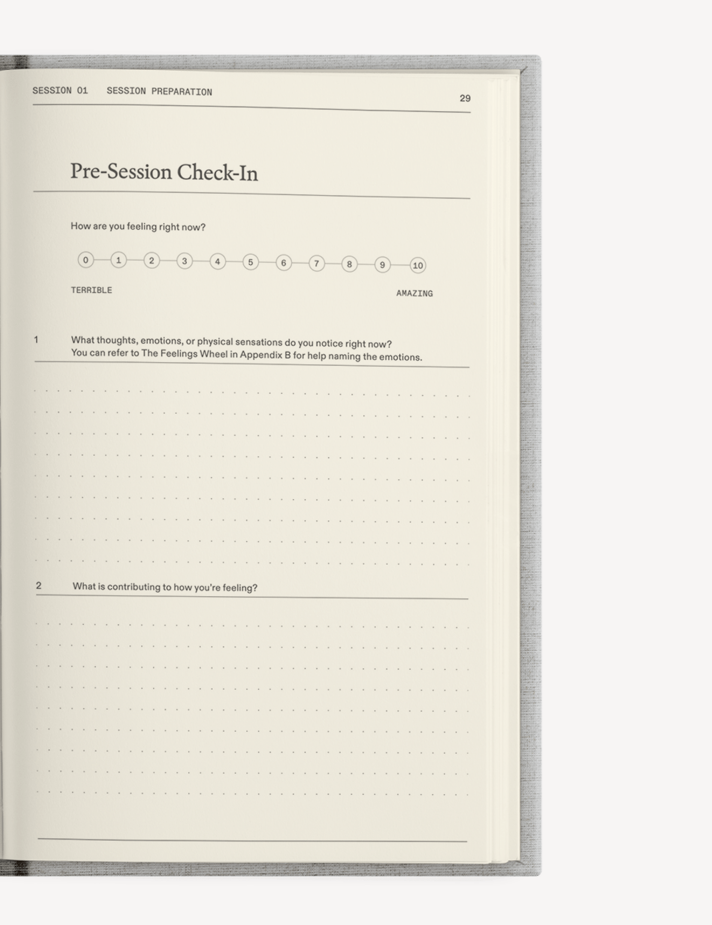 The Catalyst for Change Set - Insight Family Market