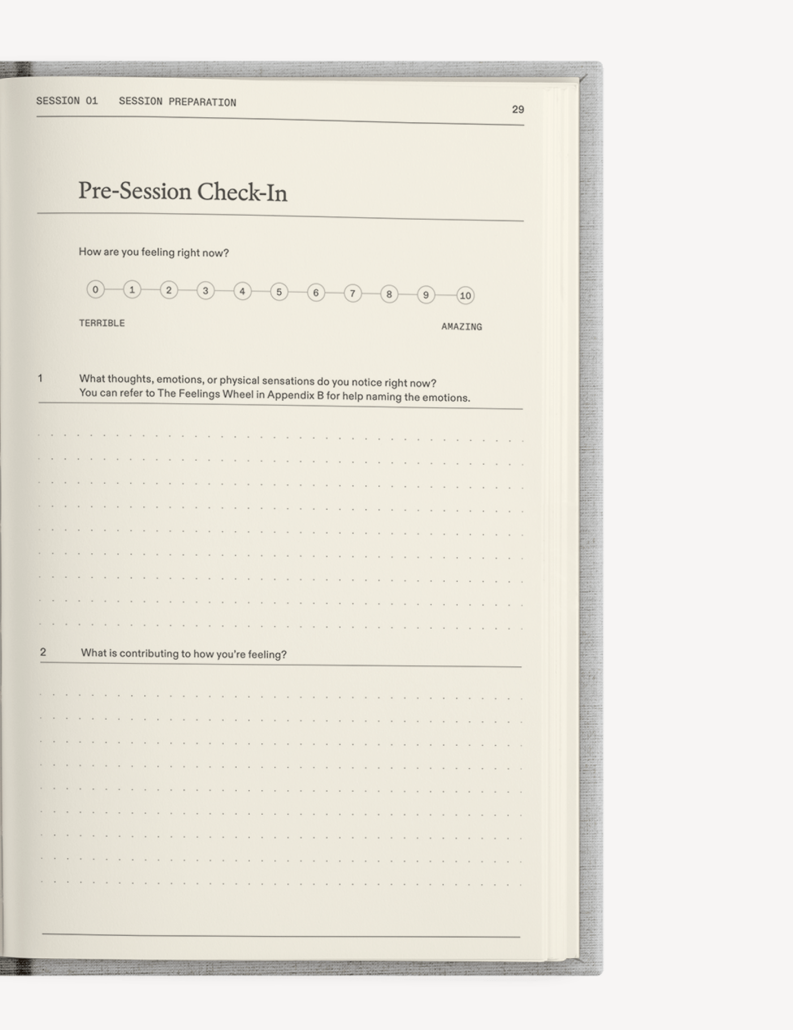 The Catalyst for Change Set - Insight Family Market