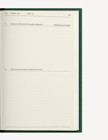 The Field Guide for Depression - Insight Family Market