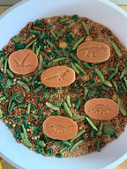 Prehistoric Plants Sensory Bin Filler - Insight Family Market