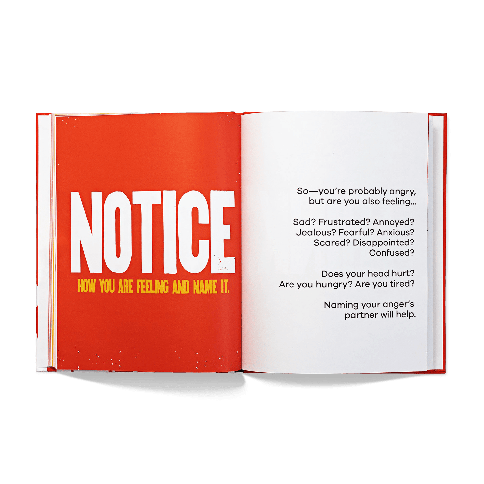 A Kids Book About Anger - Insight Family Market