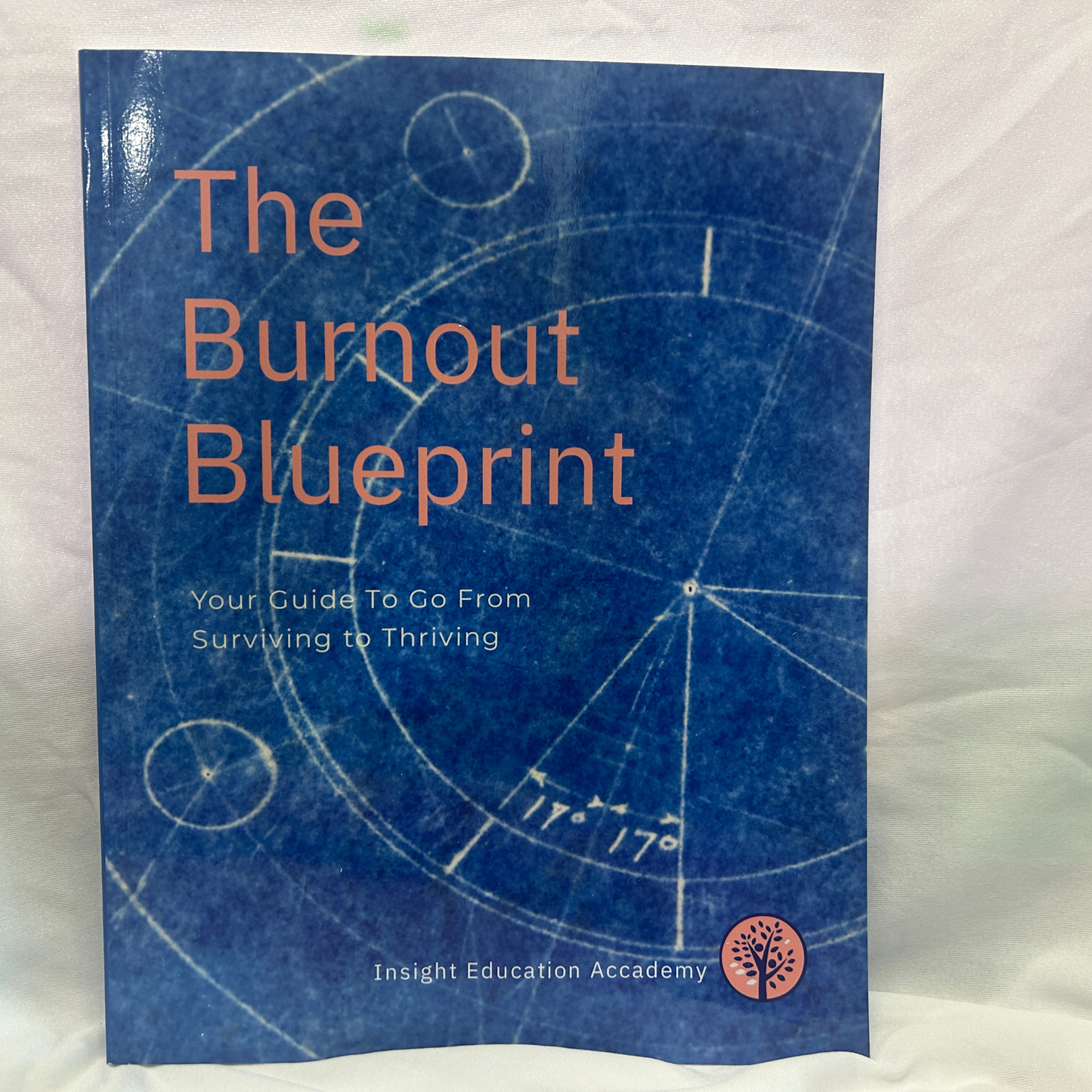 The Productivity Blueprint (Physical Paperback Edition)