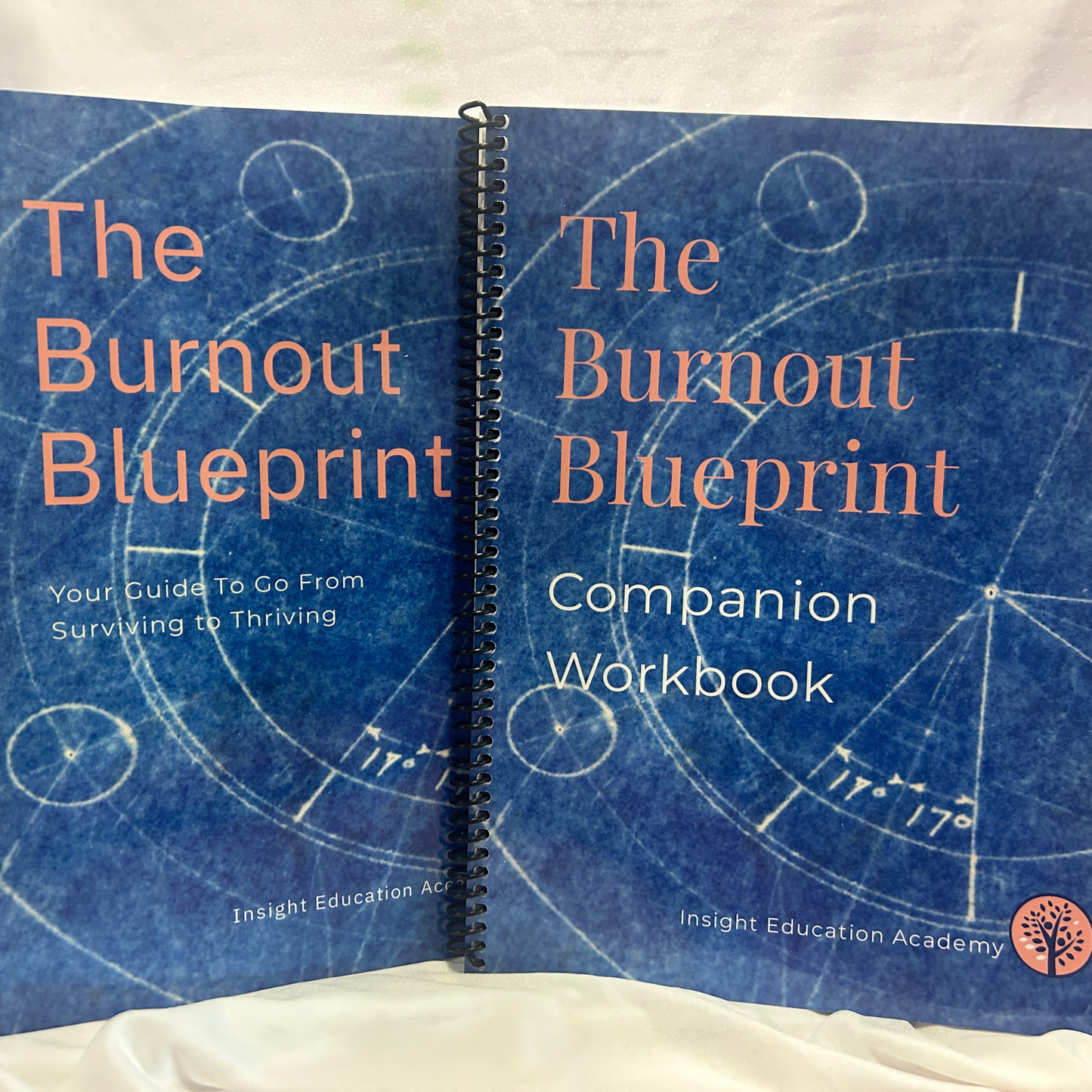 An open spiral-bound workbook titled "The Burnout Blueprint" showing two blue pages with white circular diagram graphics and peach text. The left page reads "The Burnout Blueprint" and the right page reads "Companion Workbook.