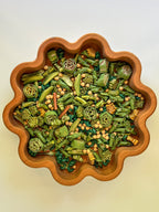 Prehistoric Plants Sensory Bin Filler - Insight Family Market