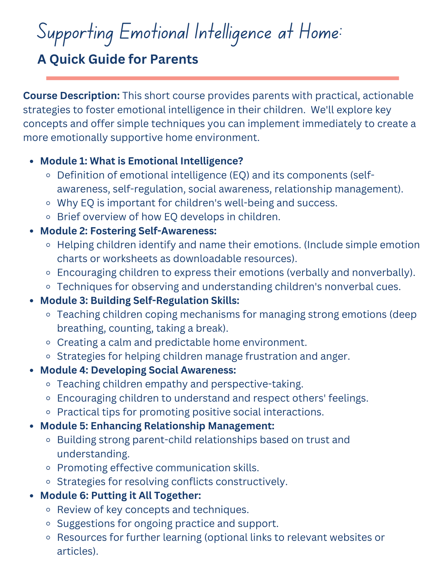 Supporting Emotional Intelligence at Home