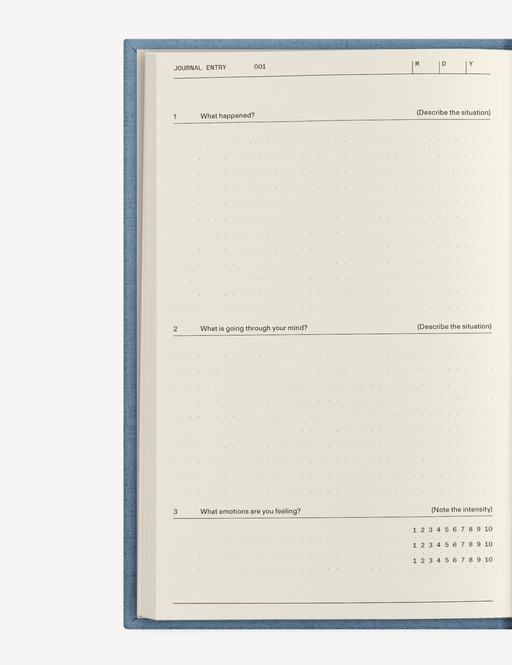 The Anti - Anxiety Notebook - Insight Family Market