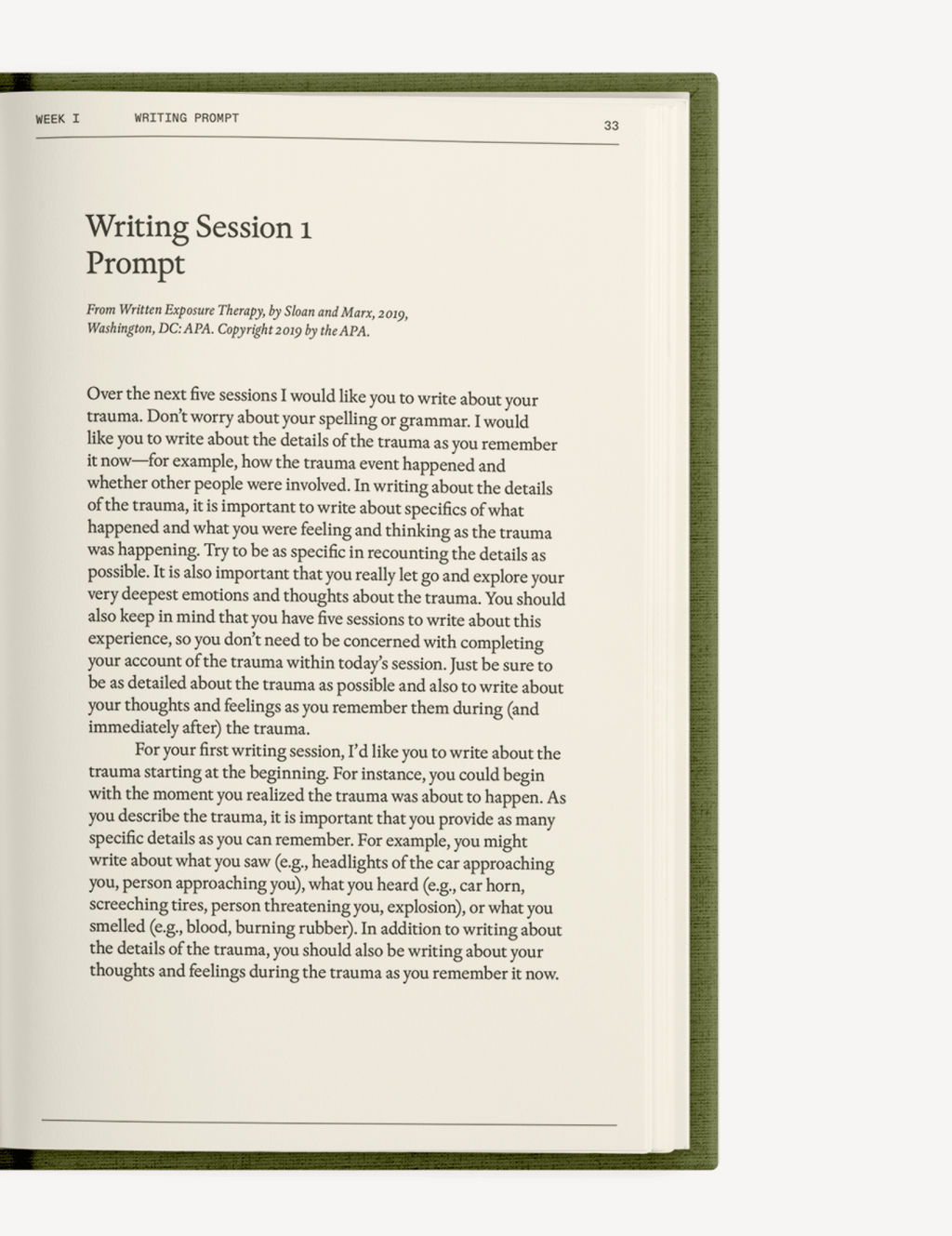 The After - Trauma Notebook - Insight Family Market